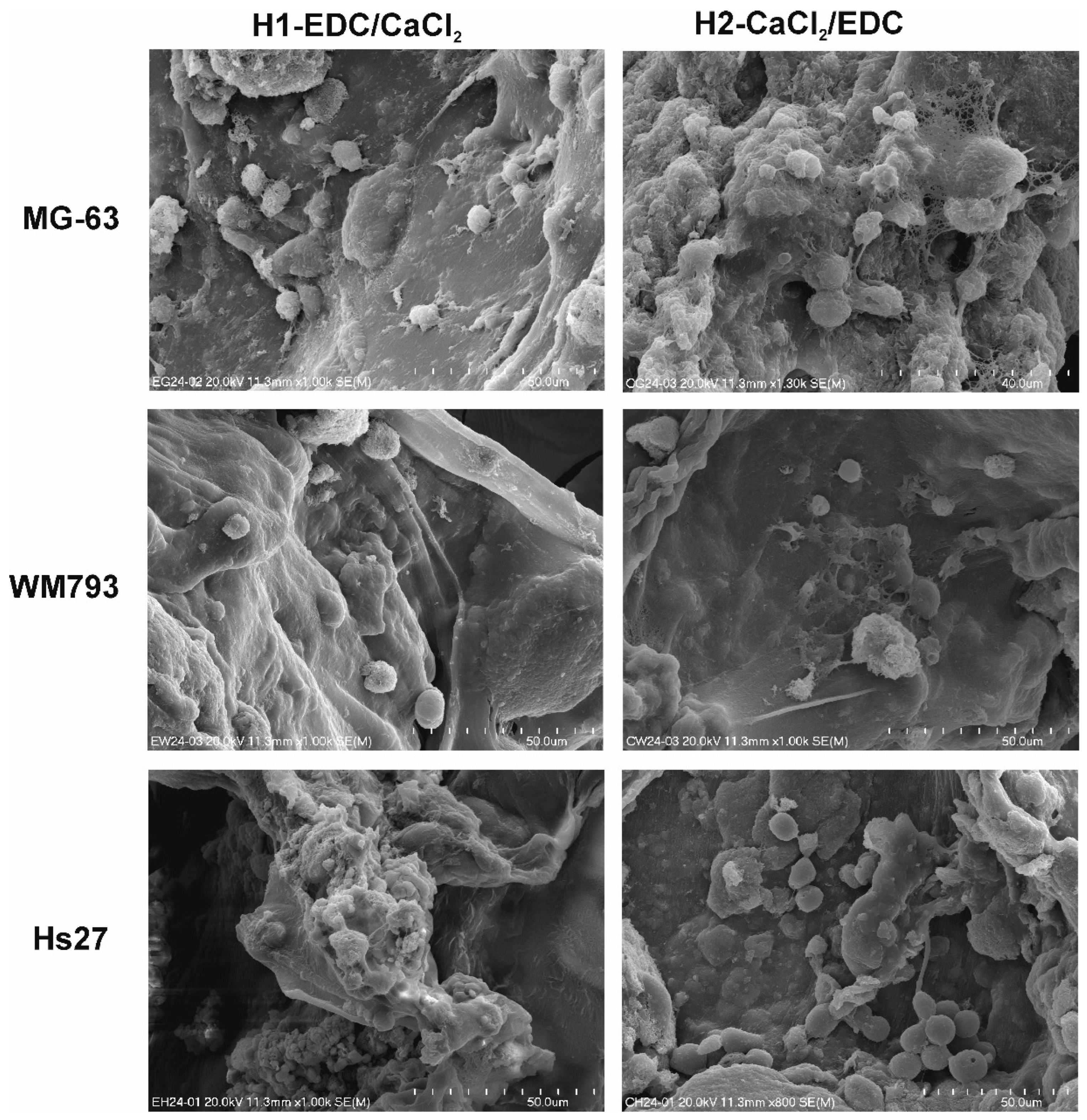 Polymers 14 05151 g012