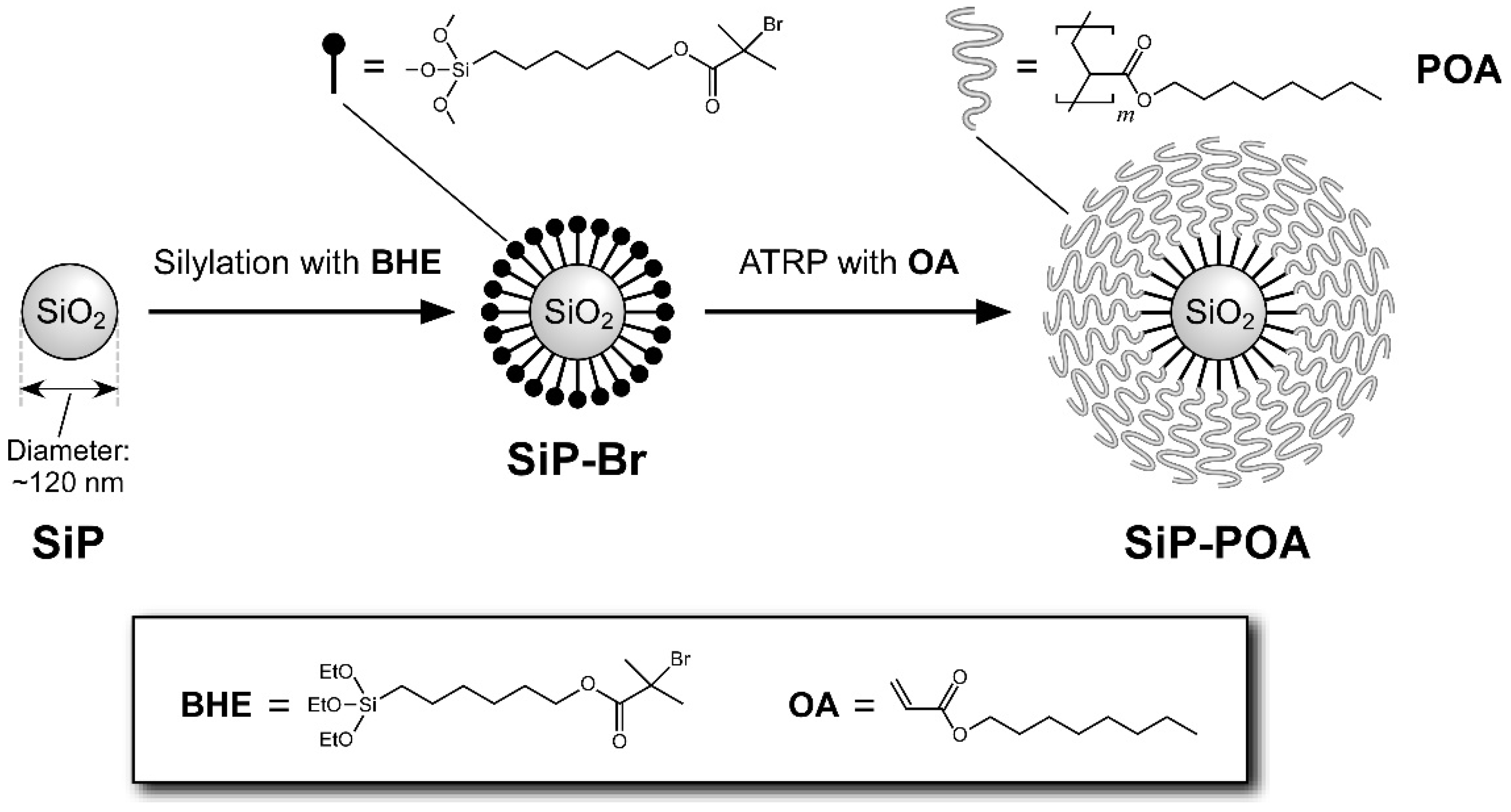 Polymers 14 05157 g001