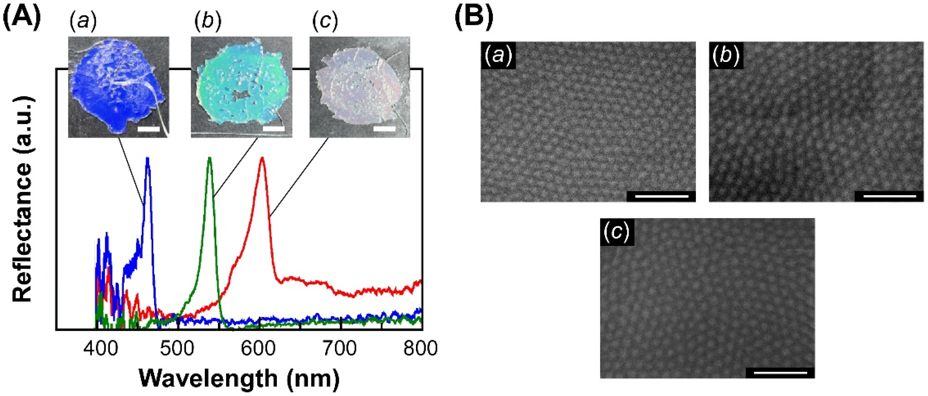 Polymers 14 05157 g003