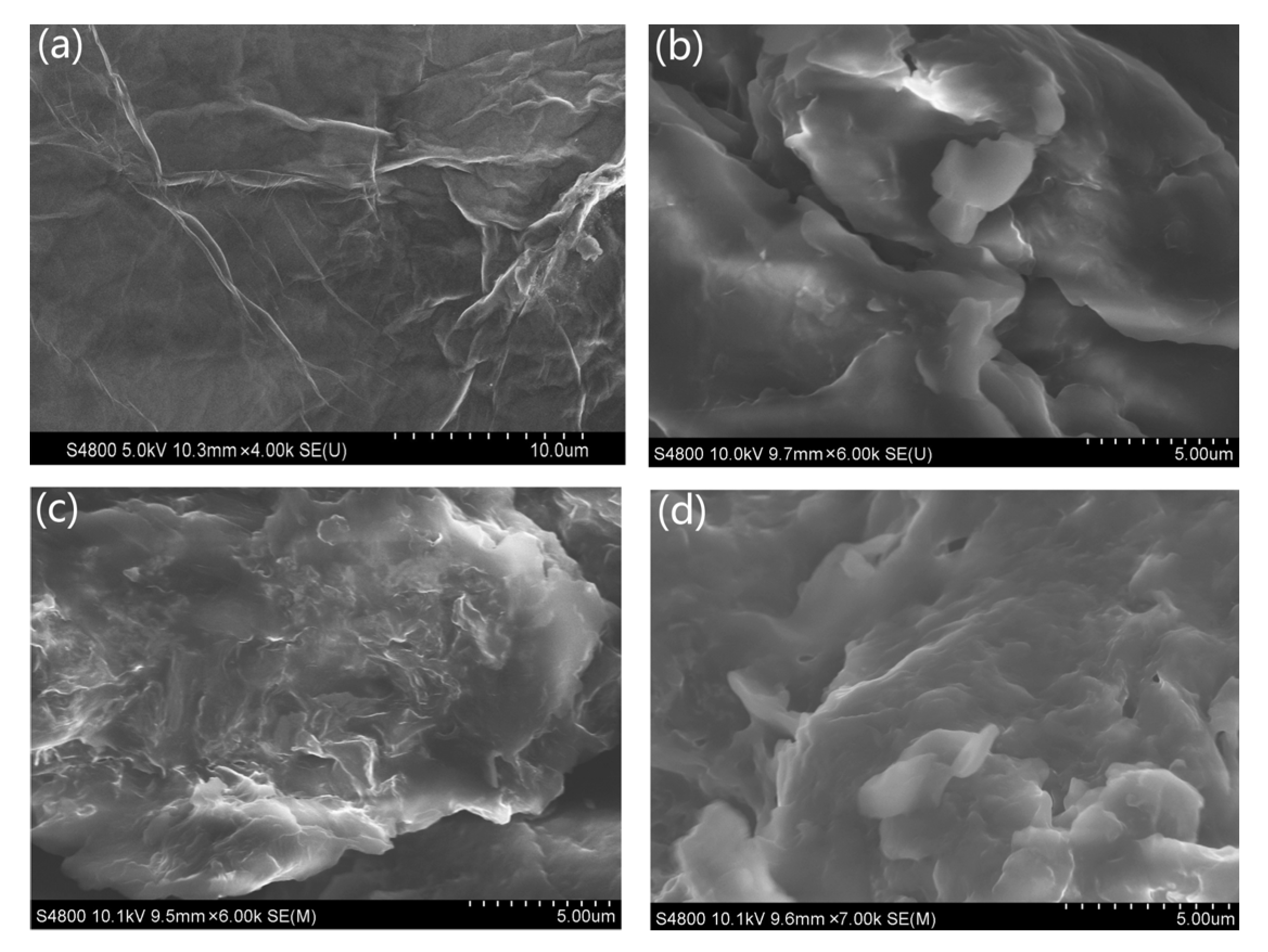 Polymers 14 05161 g003