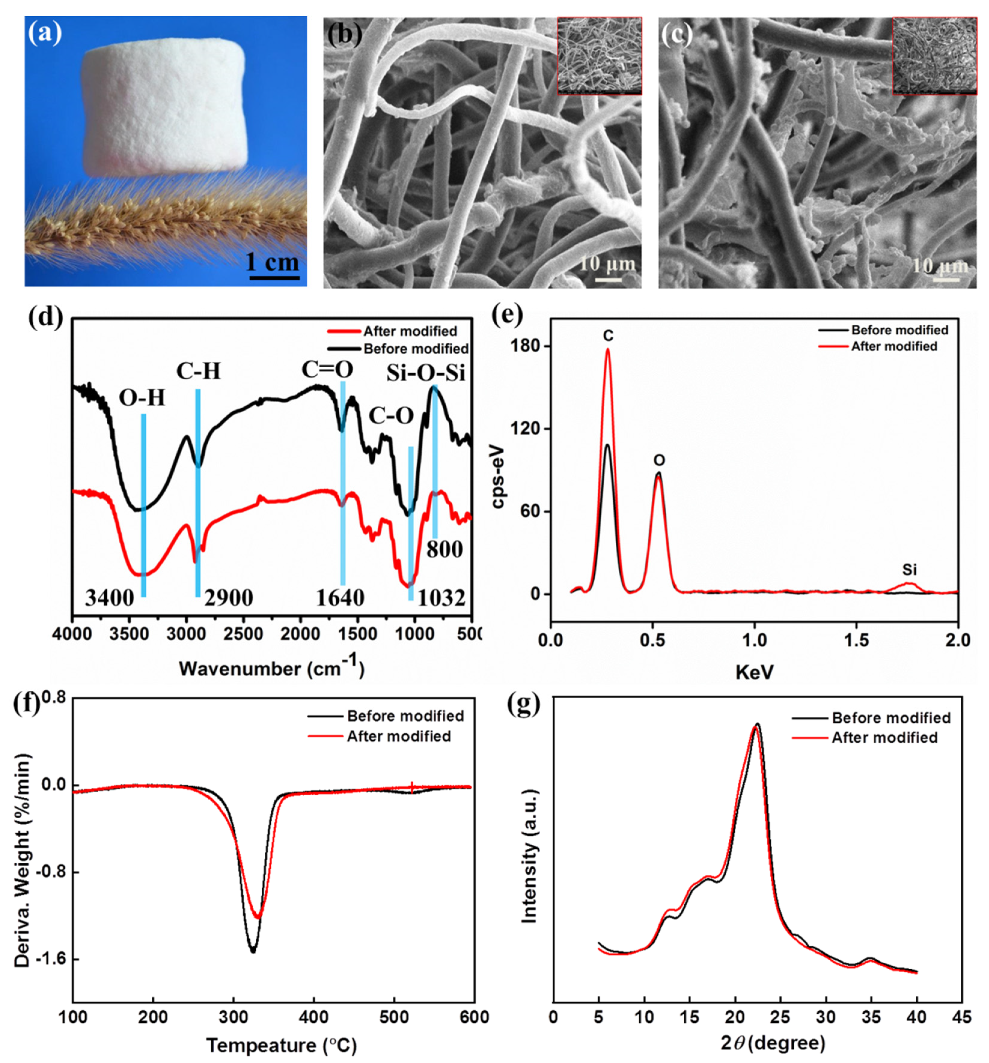 Polymers 14 05162 g002