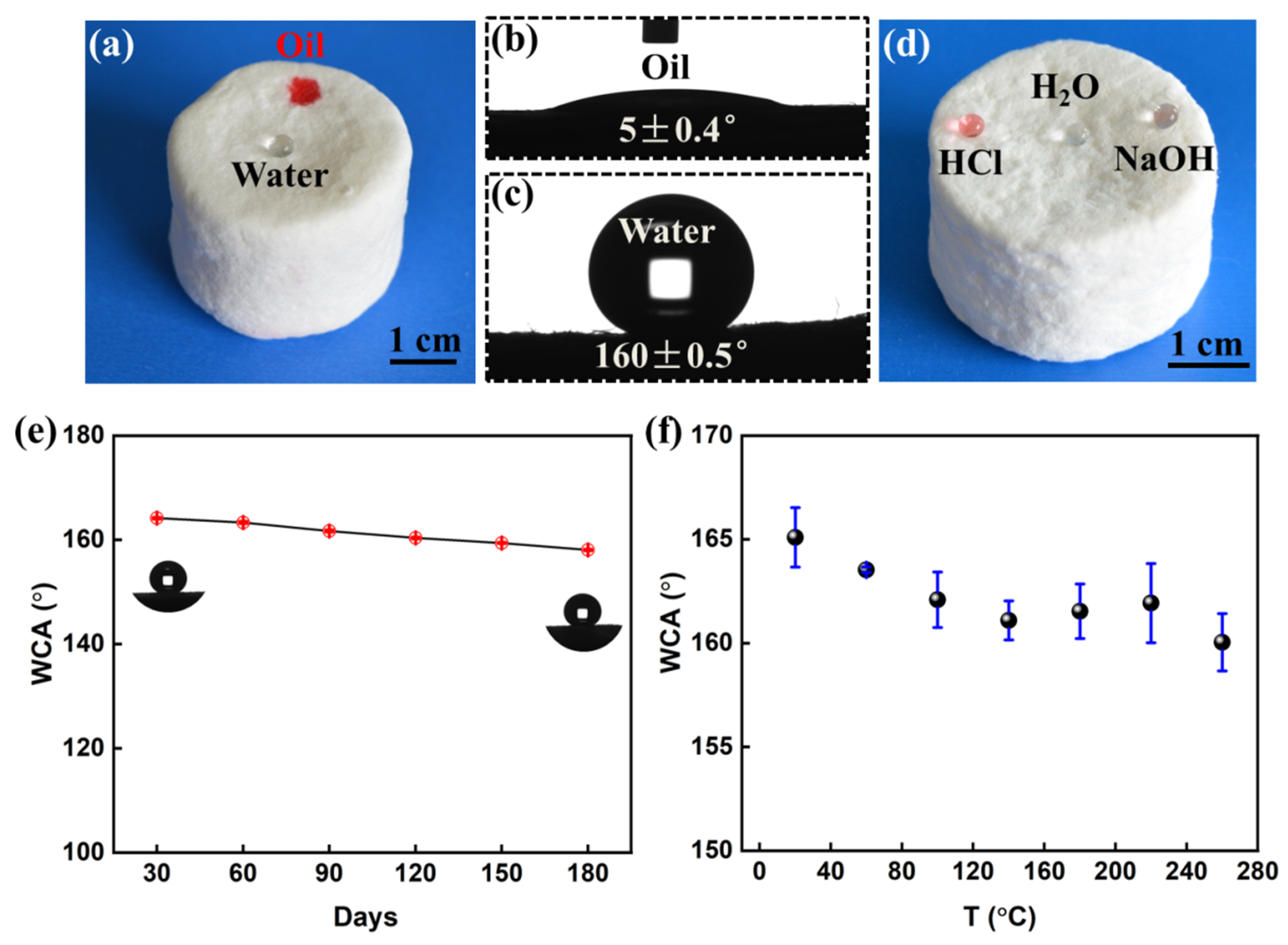 Polymers 14 05162 g003