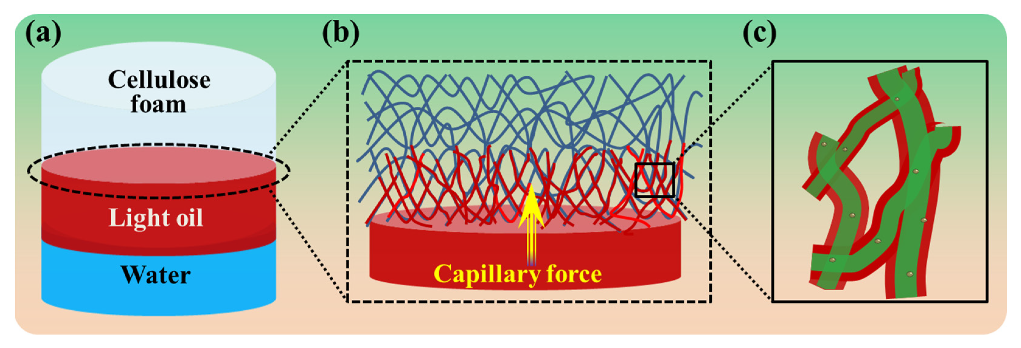 Polymers 14 05162 g005