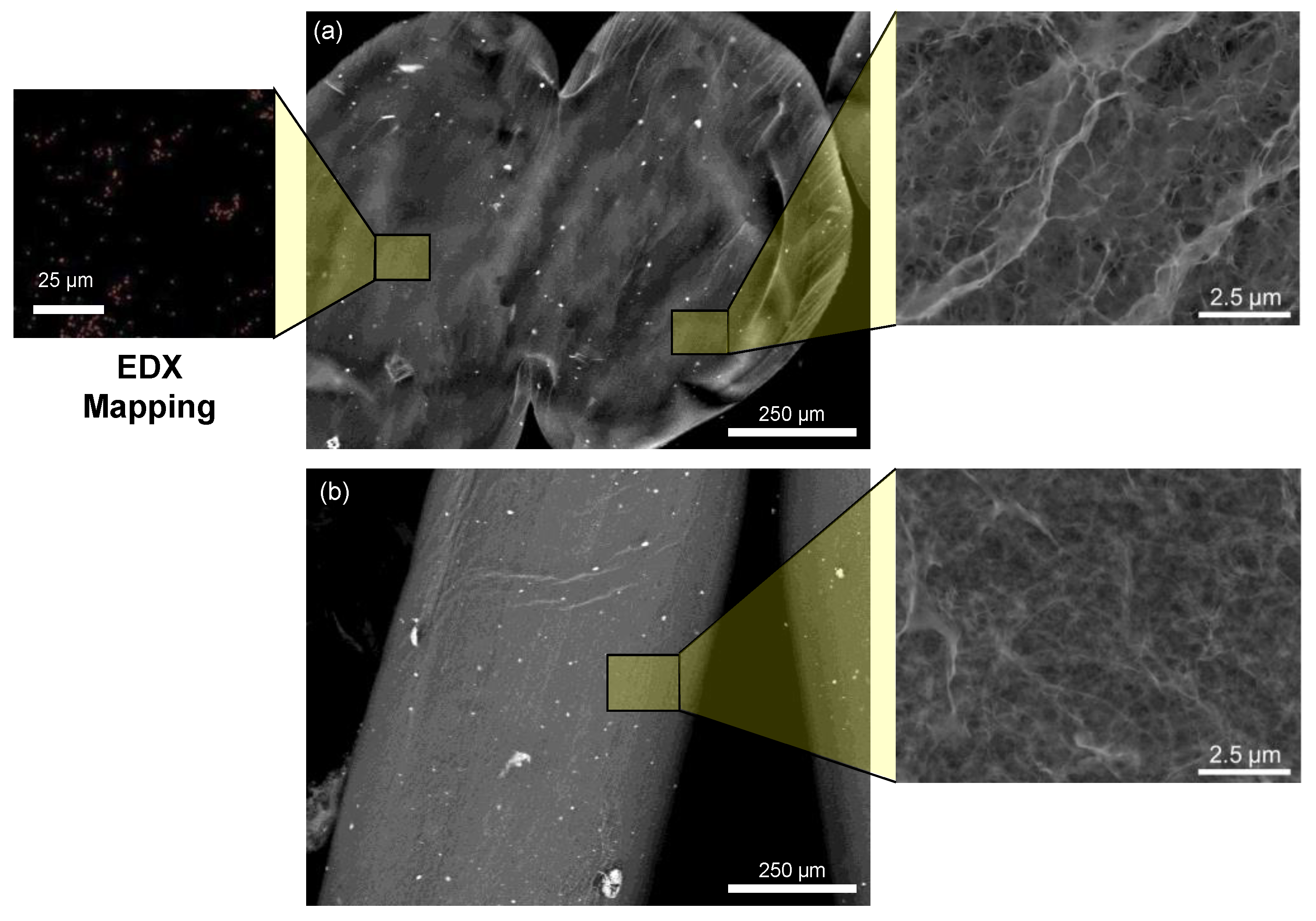 Polymers 14 05165 g001