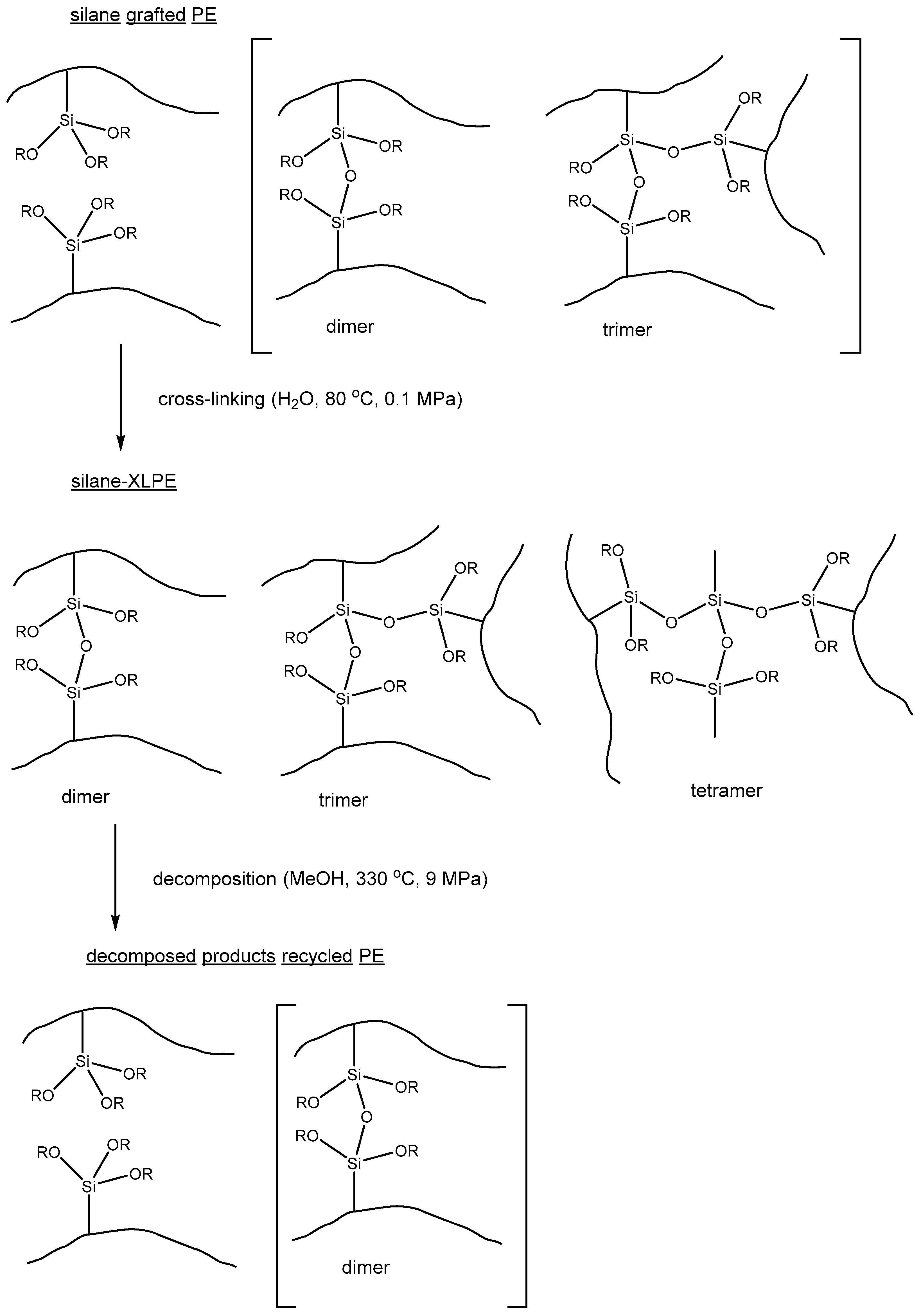 Polymers 14 05170 g005 Polymers 14 05170 g005