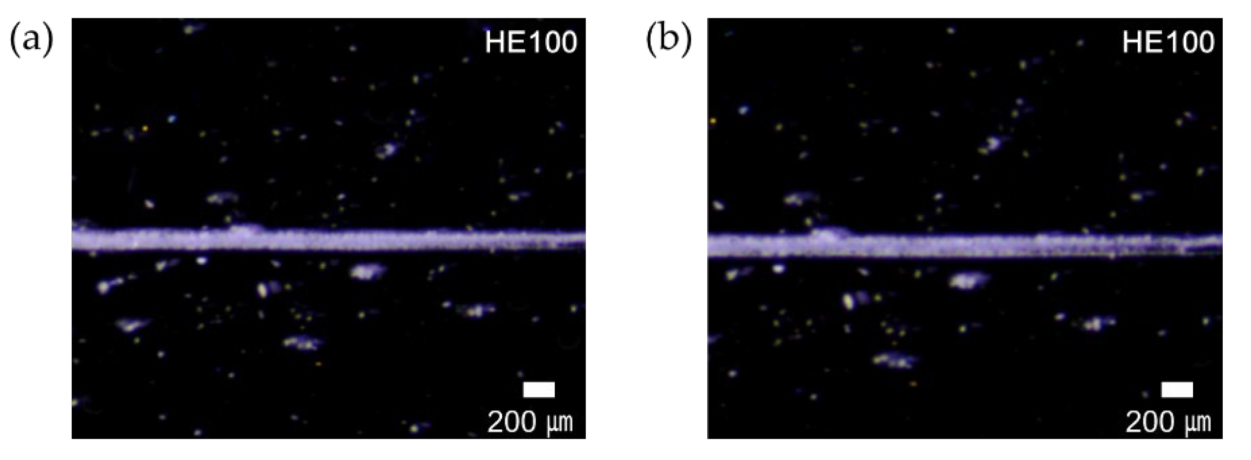 Polymers 14 05181 g007