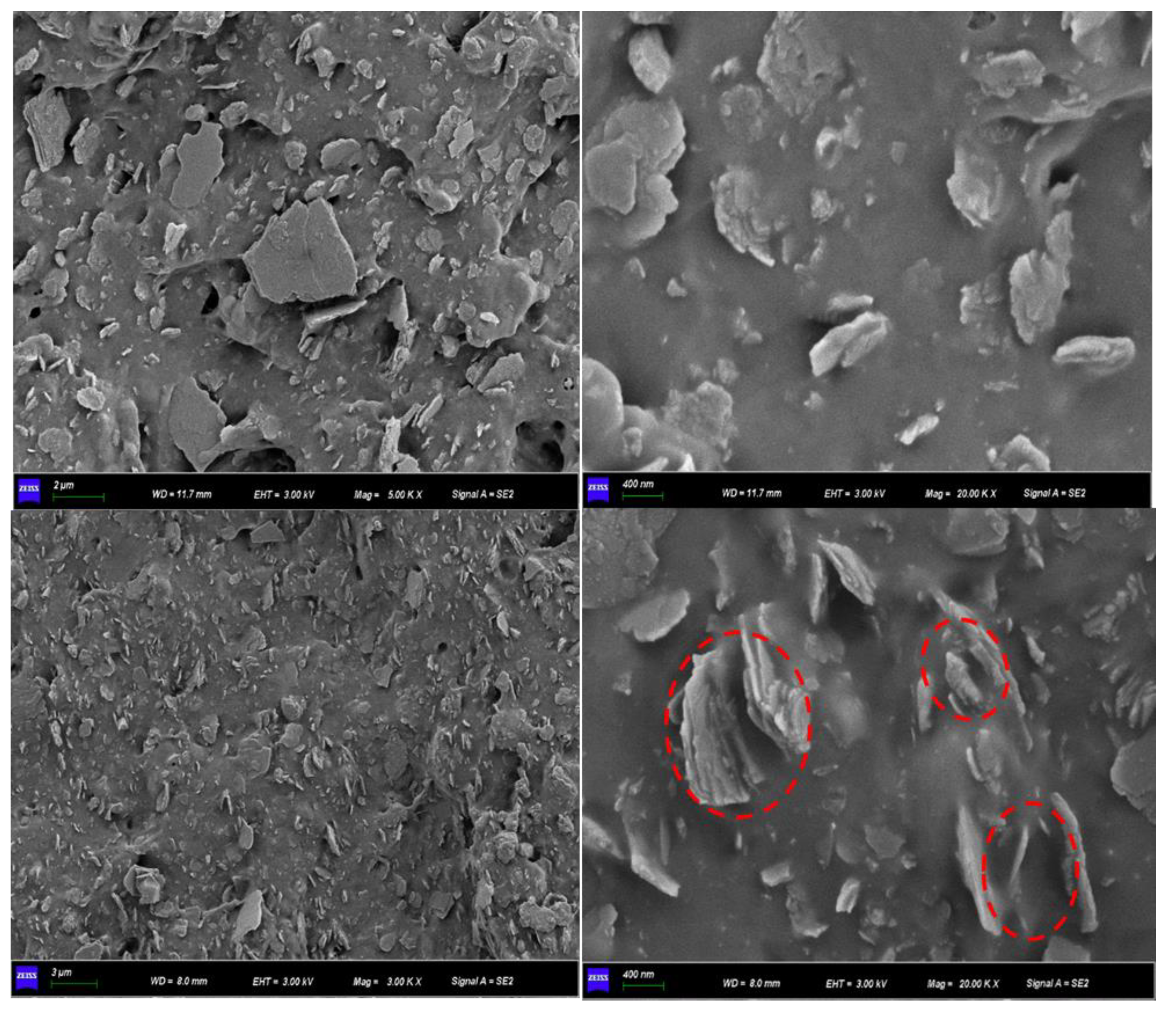 Polymers 14 05187 g006