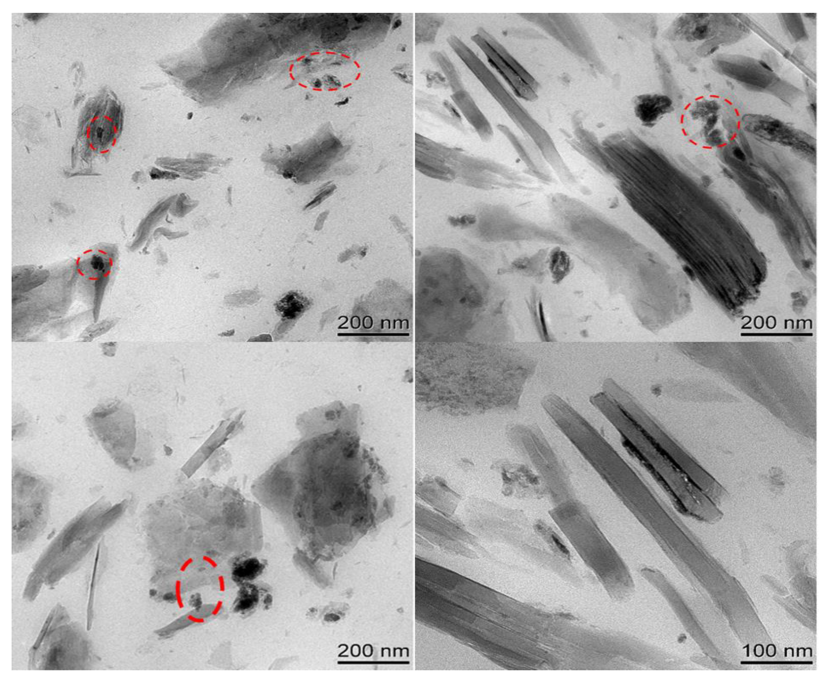 Polymers 14 05187 g007