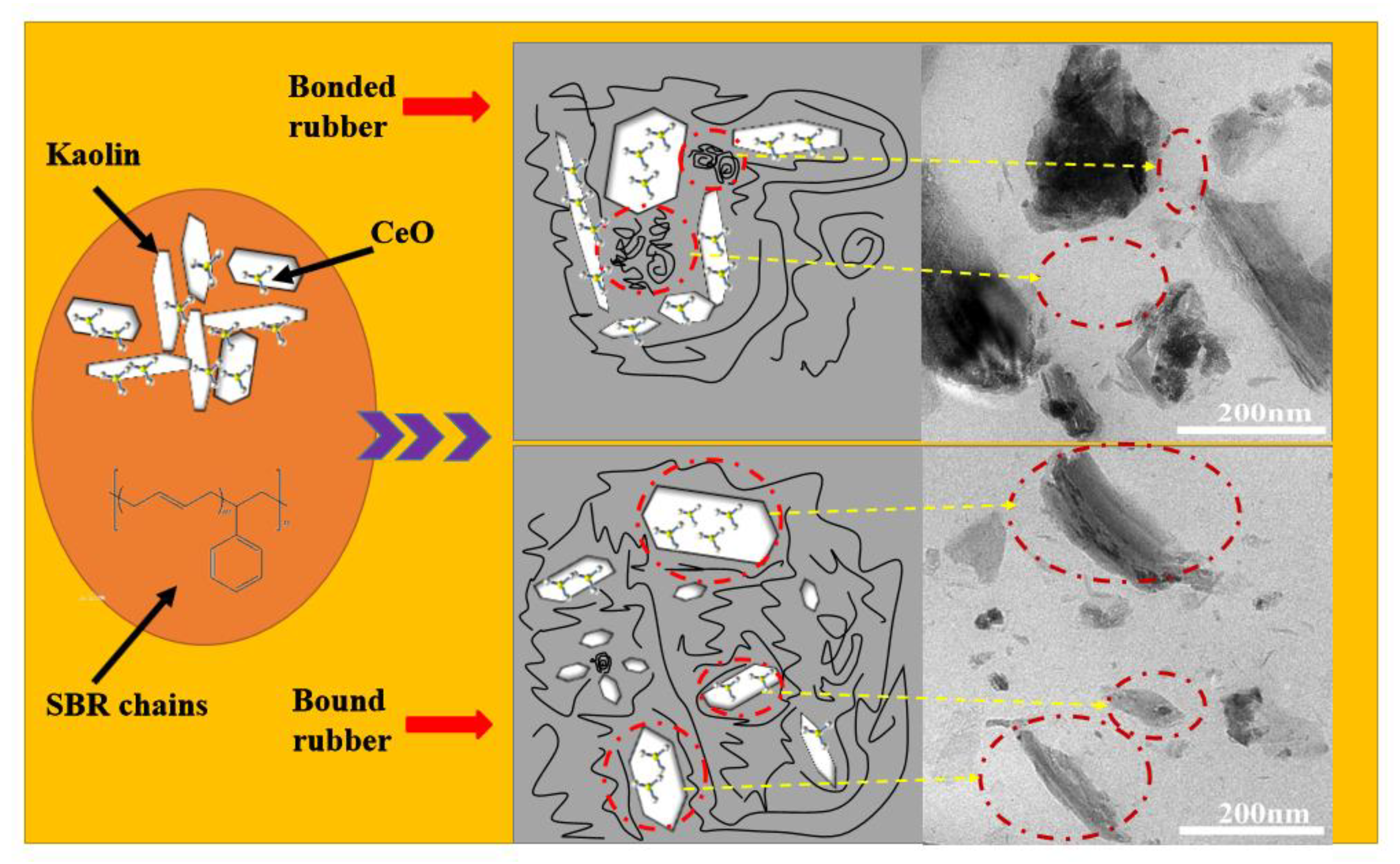 Polymers 14 05187 g008