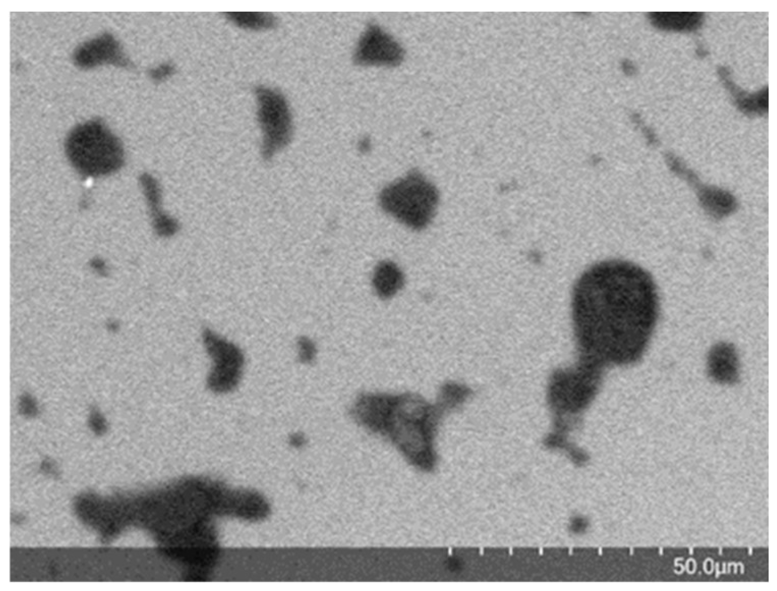 Polymers 14 05188 g001