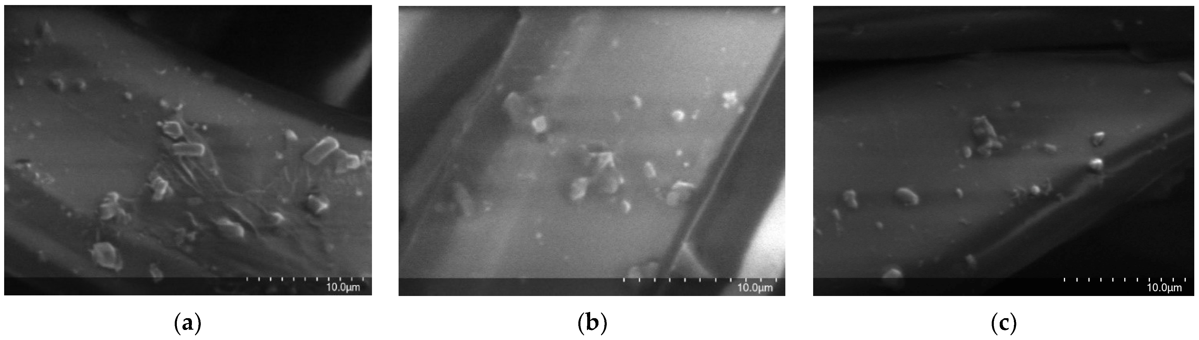 Polymers 14 05188 g004