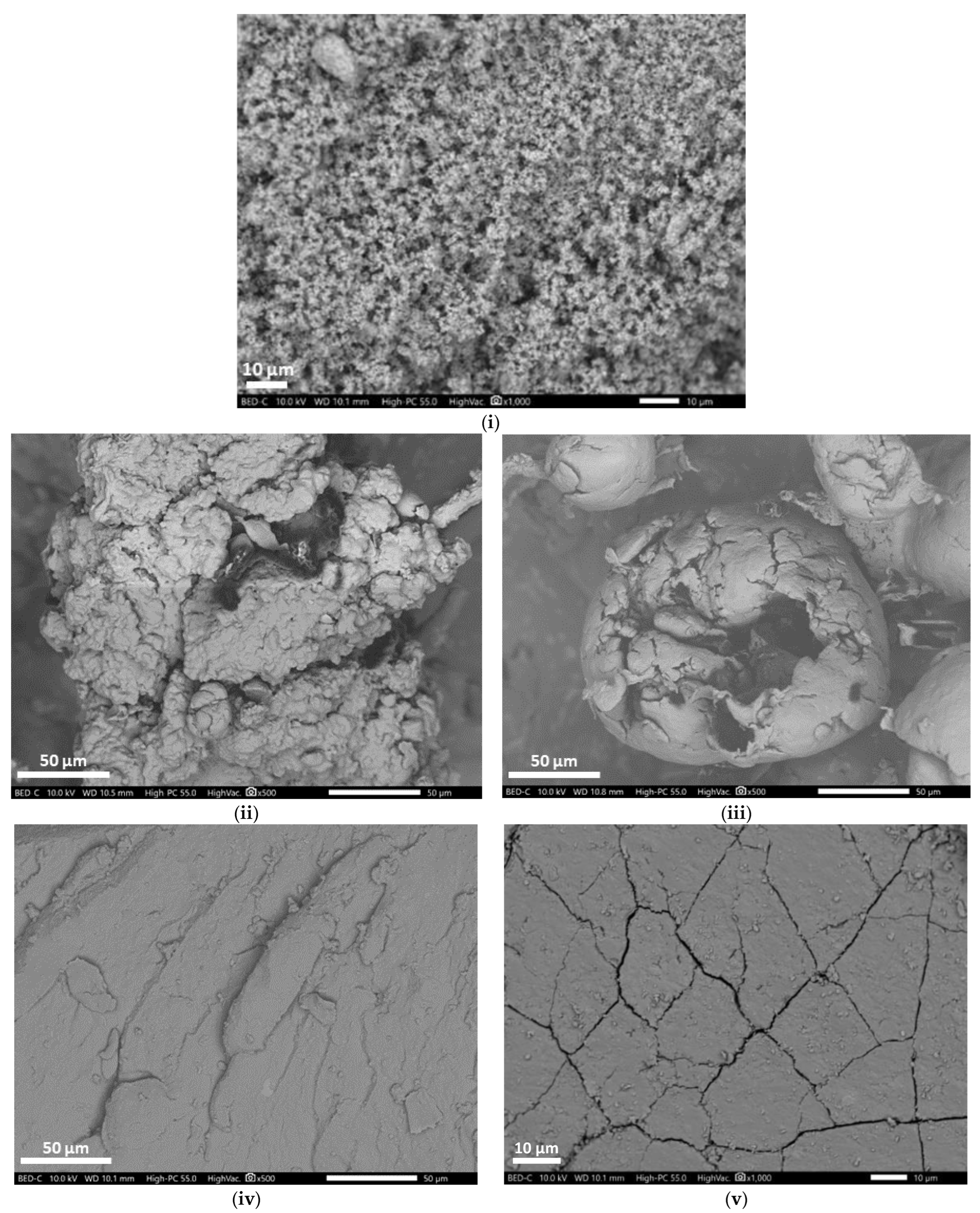 Polymers 14 05189 g003