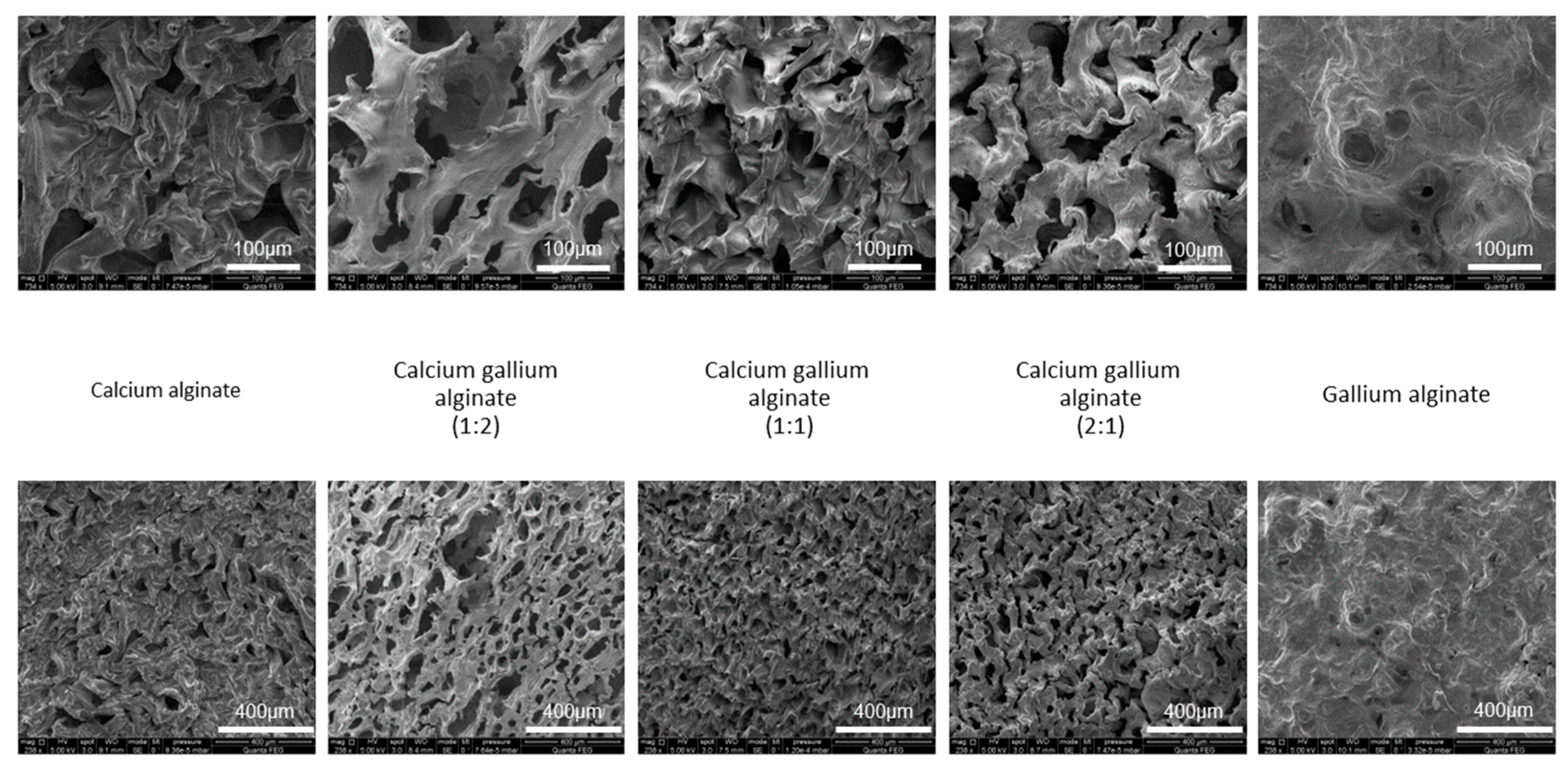 Polymers 14 05192 g002