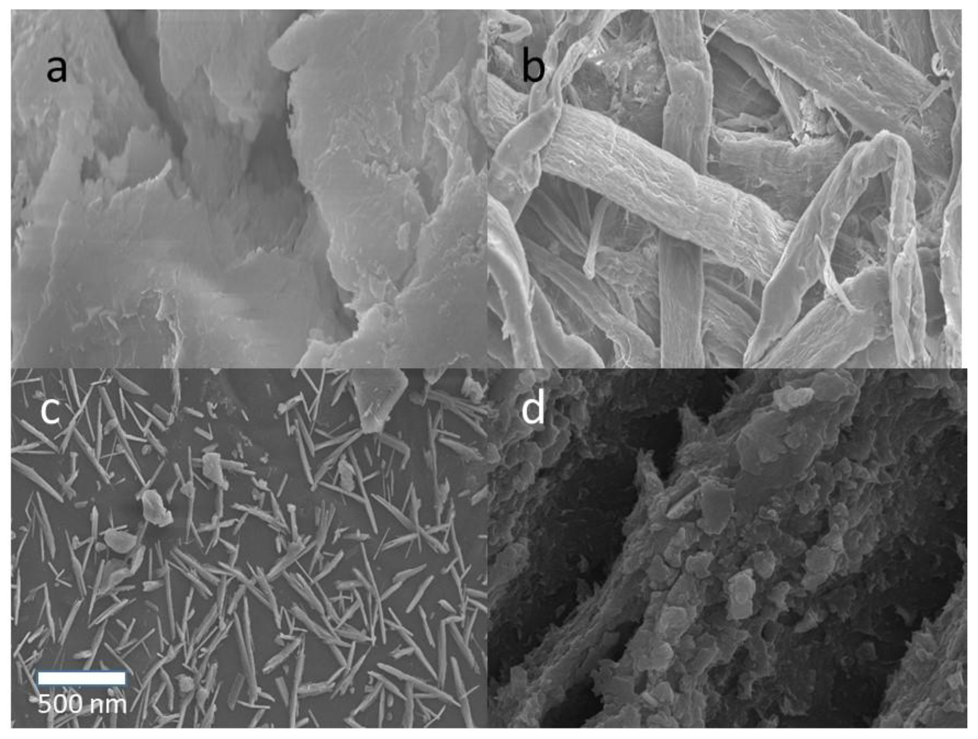 Polymers 14 05197 g002