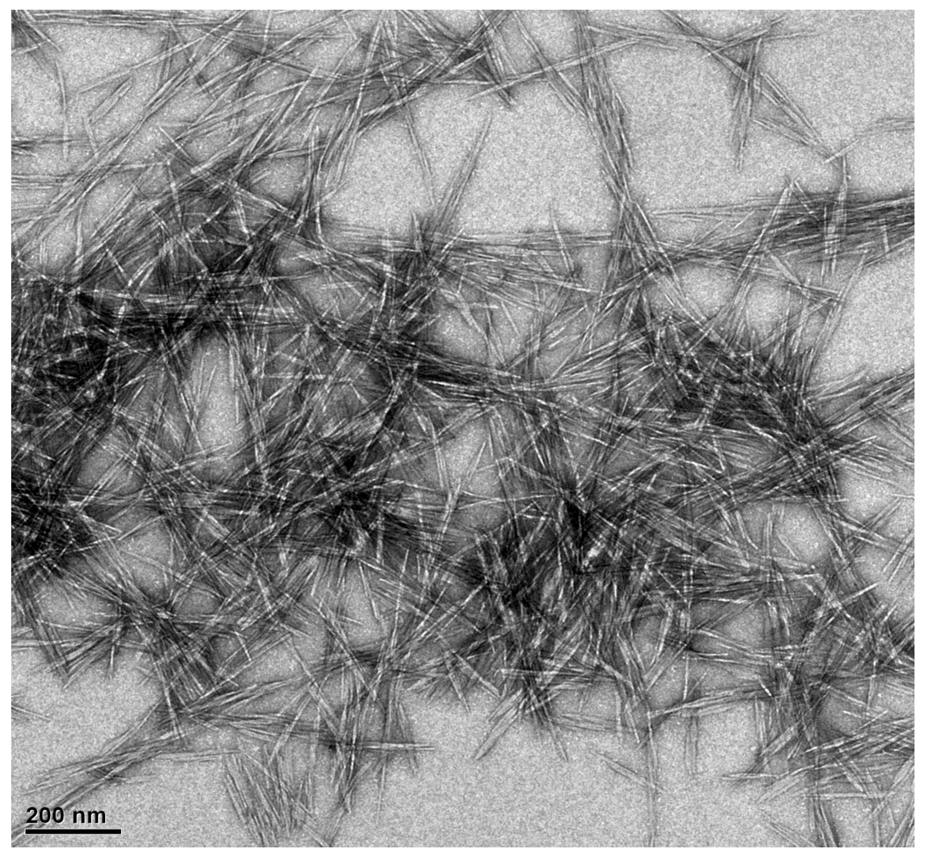 Polymers 14 05197 g003