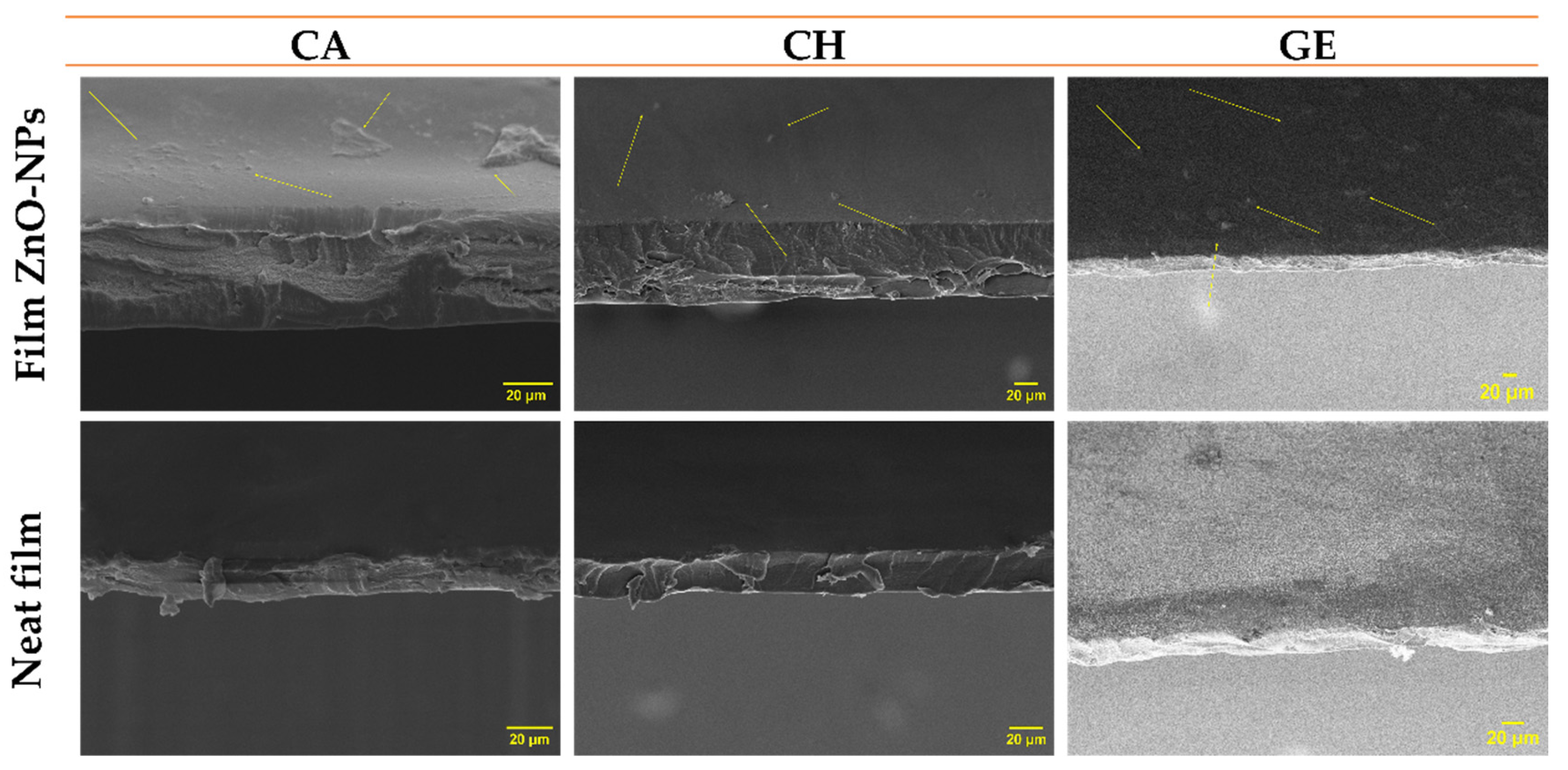 Polymers 14 05202 g006 Polymers 14 05202 g006
