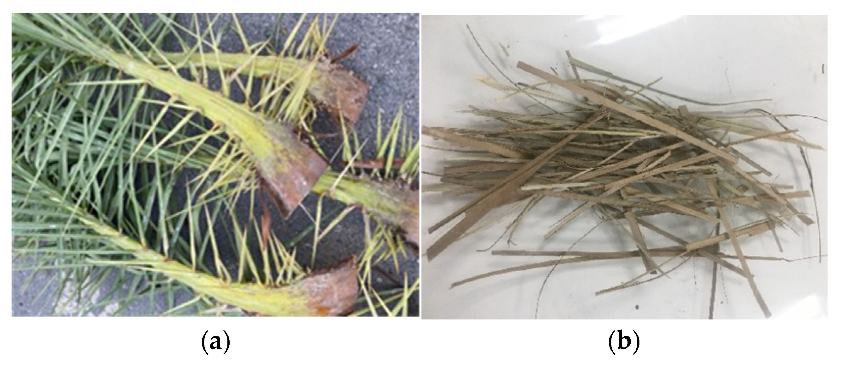 Polymers 14 05206 g001 Polymers 14 05206 g001