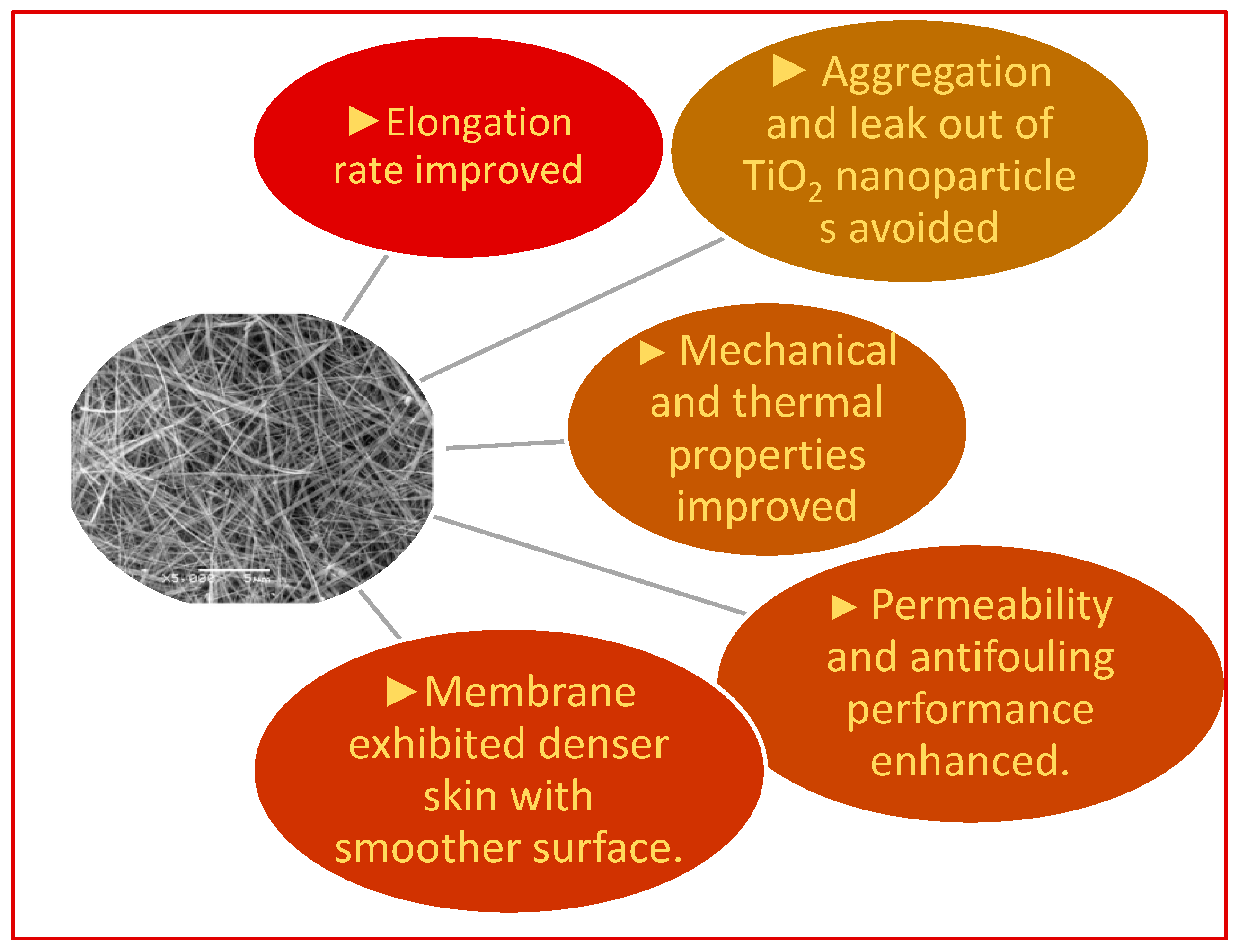 Polymers 14 05209 g005