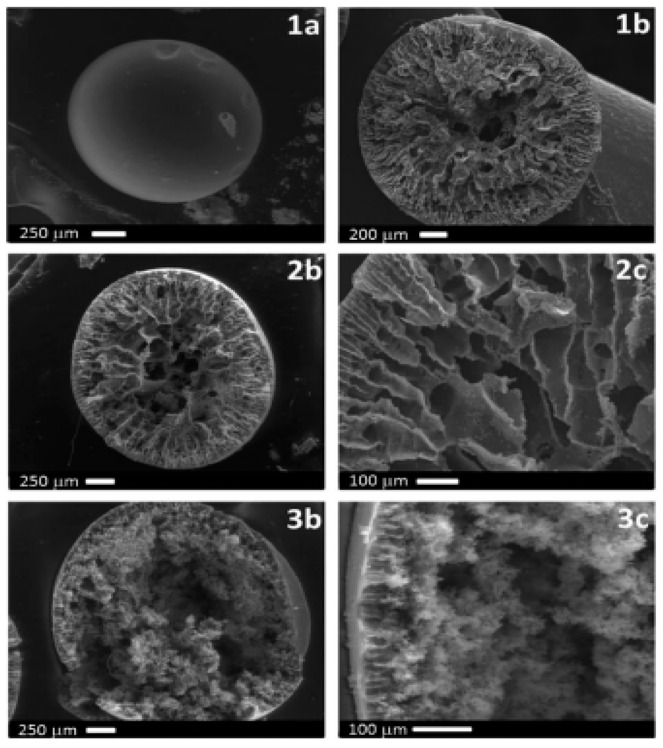 Polymers 14 05209 g009
