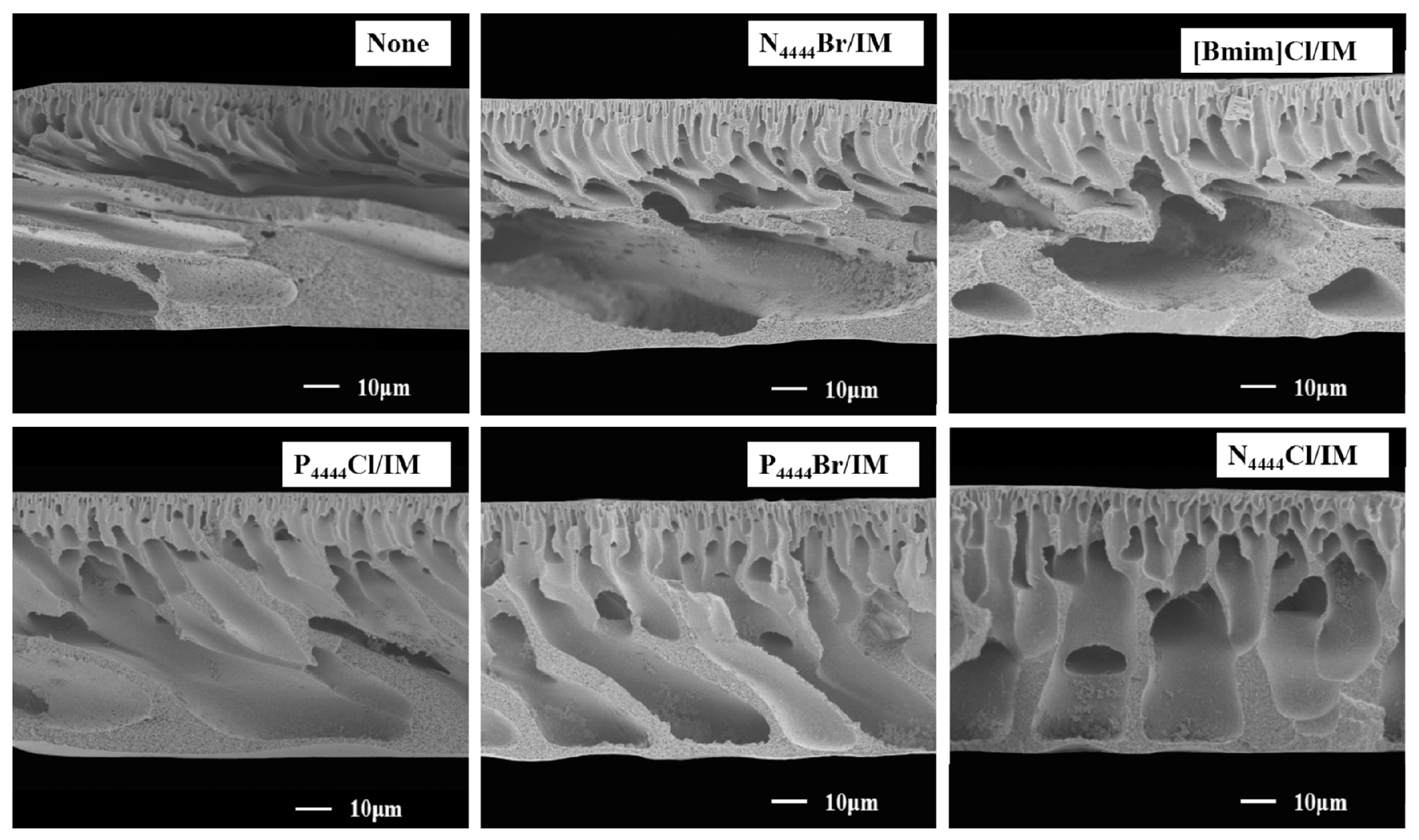 Polymers 14 05209 g014