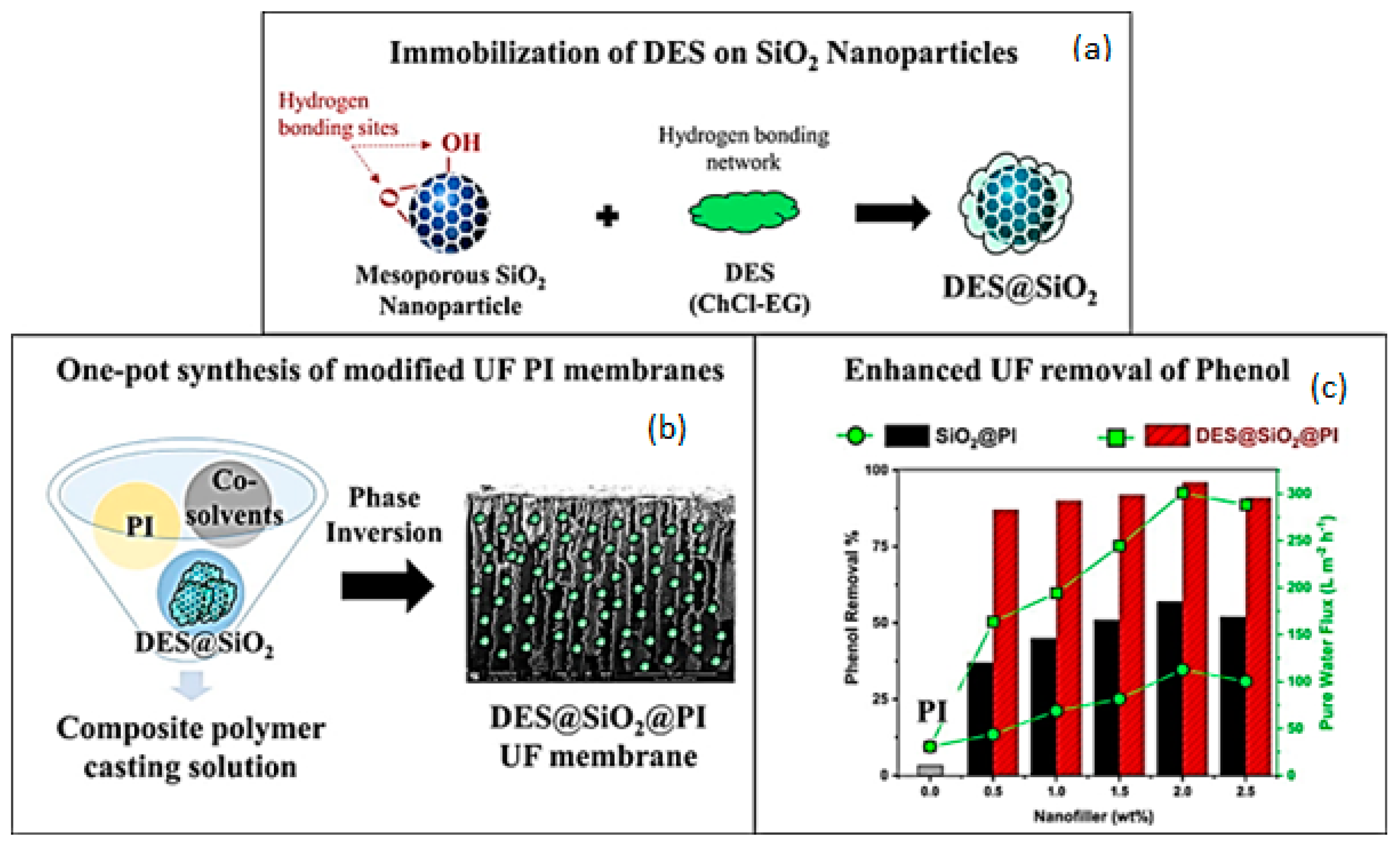 Polymers 14 05209 g016