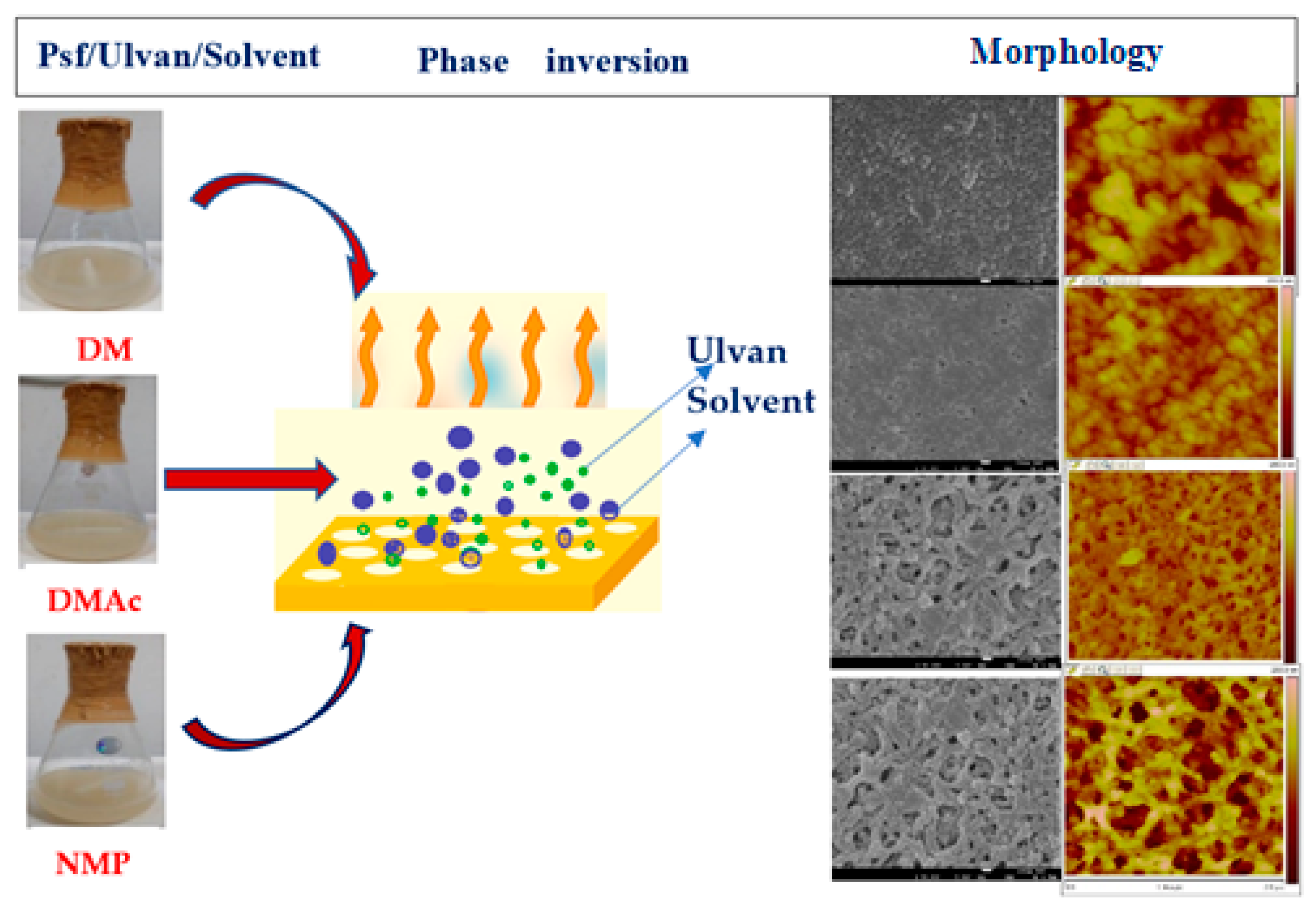 Polymers 14 05209 g017