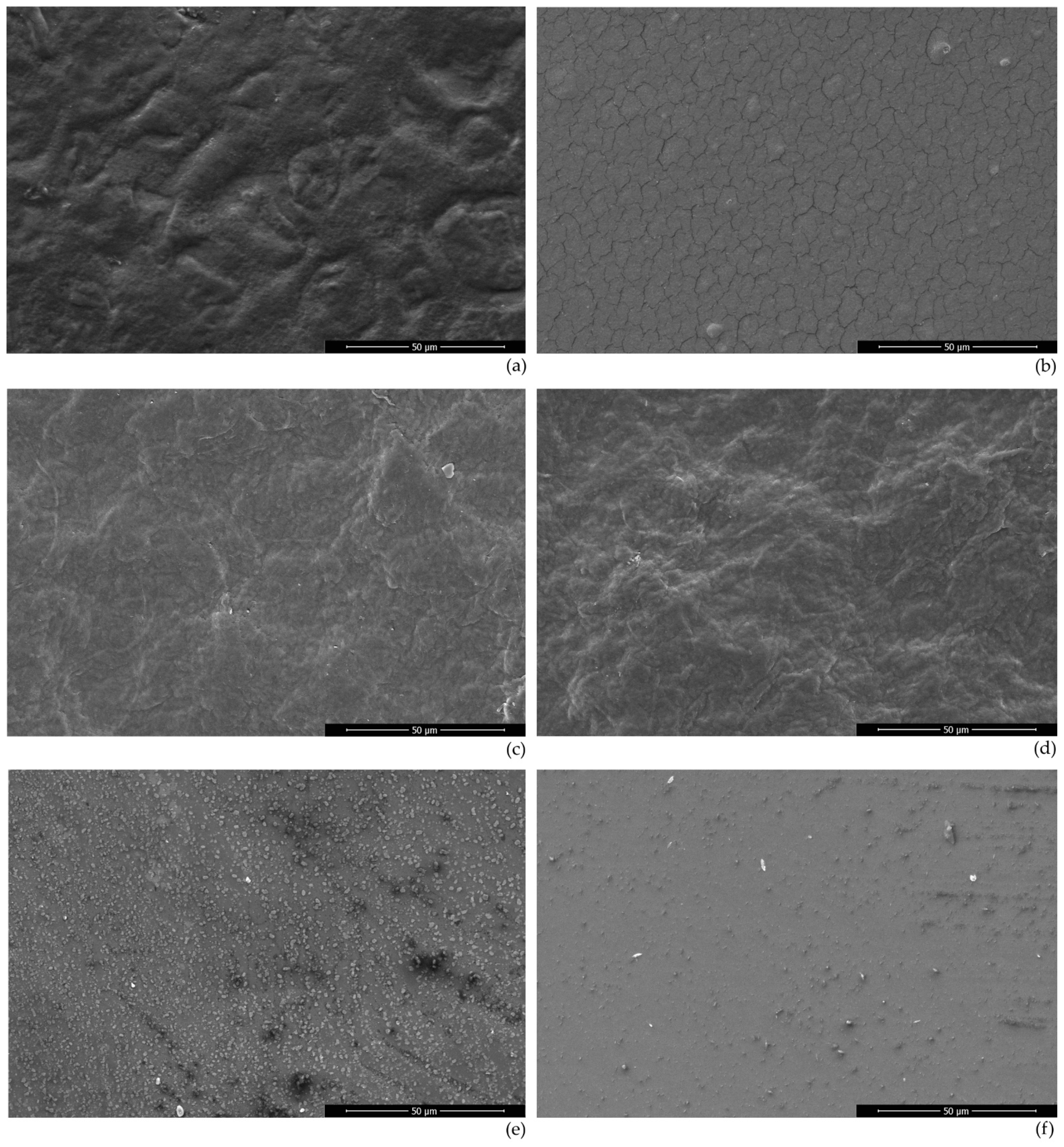 Polymers 14 05215 g002