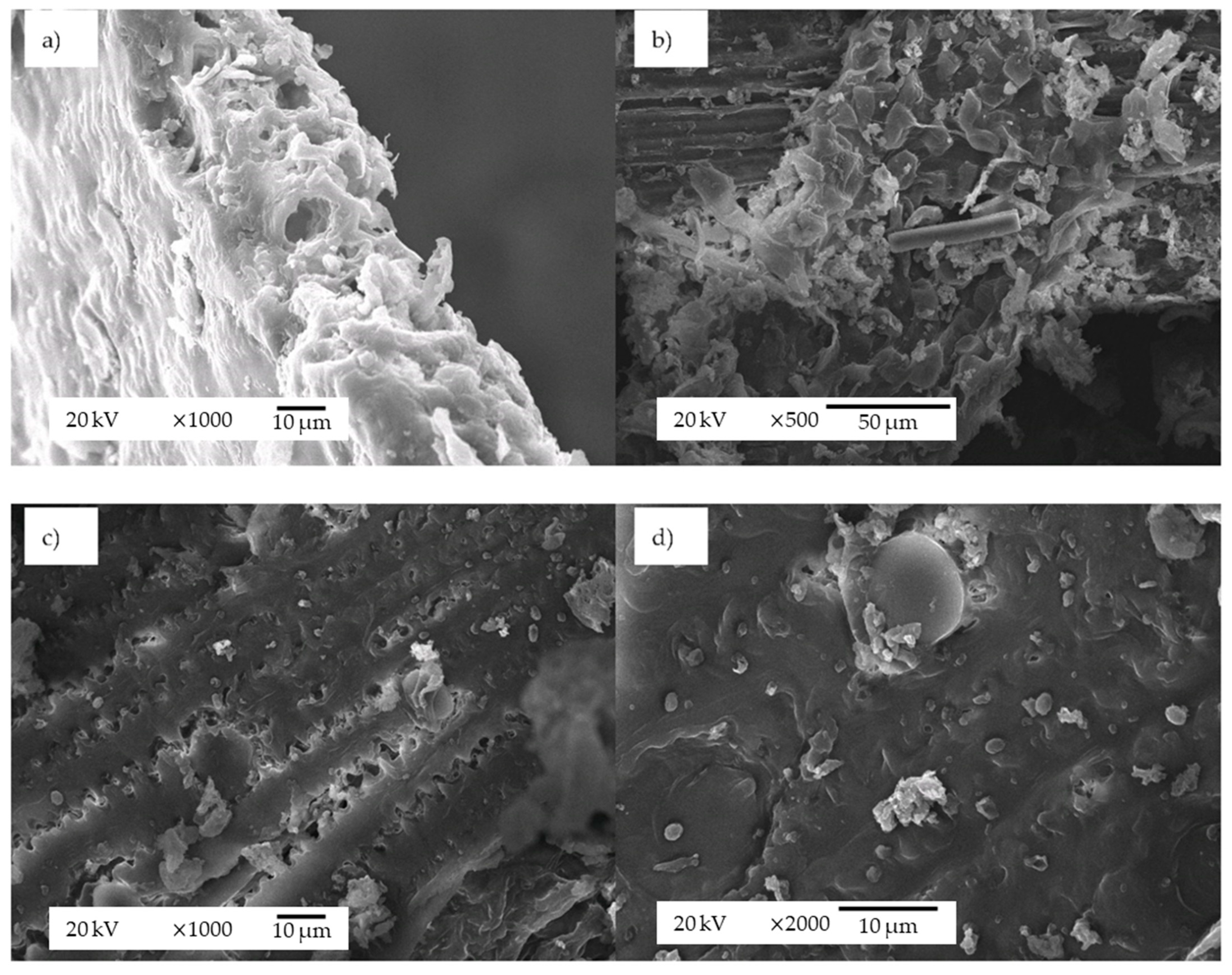Polymers 14 05218 g002