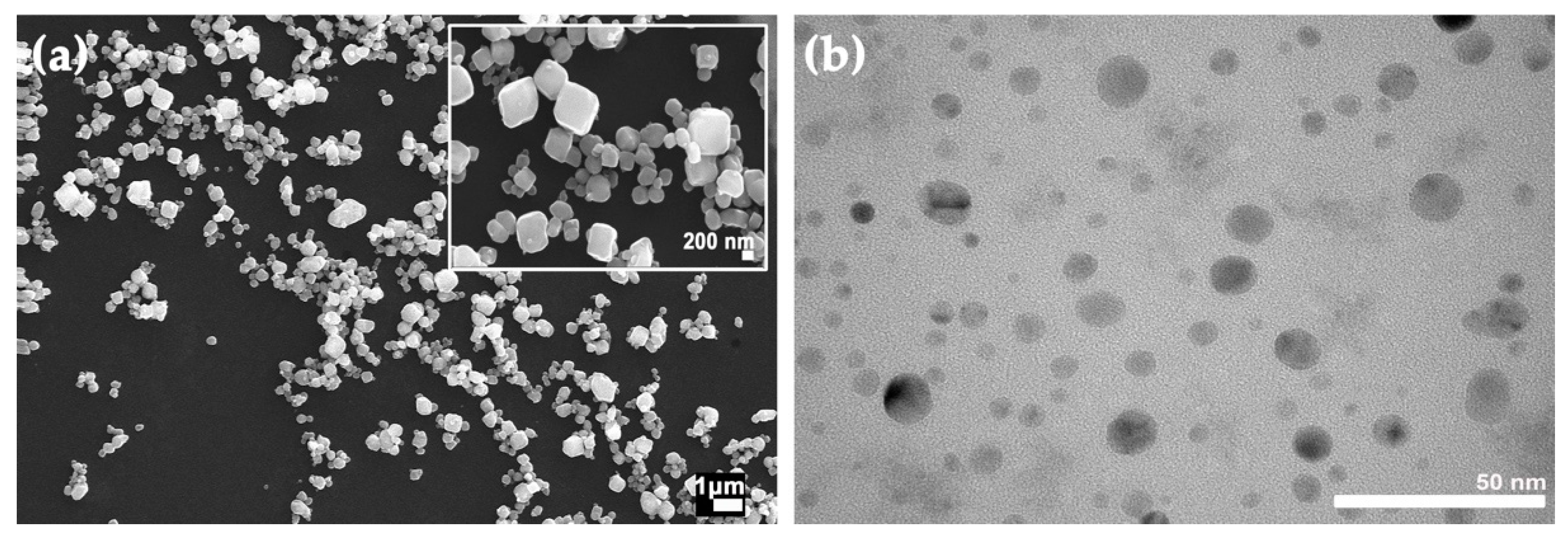 Polymers 14 05220 g001