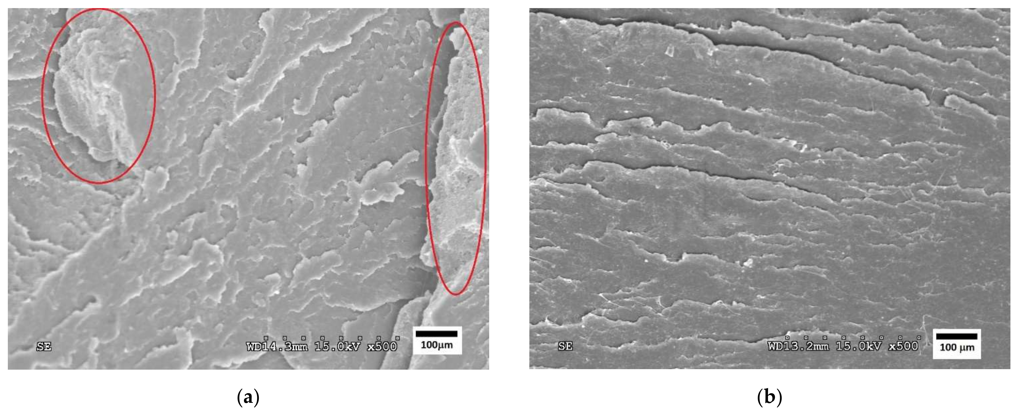 Polymers 14 05223 g004 Polymers 14 05223 g004