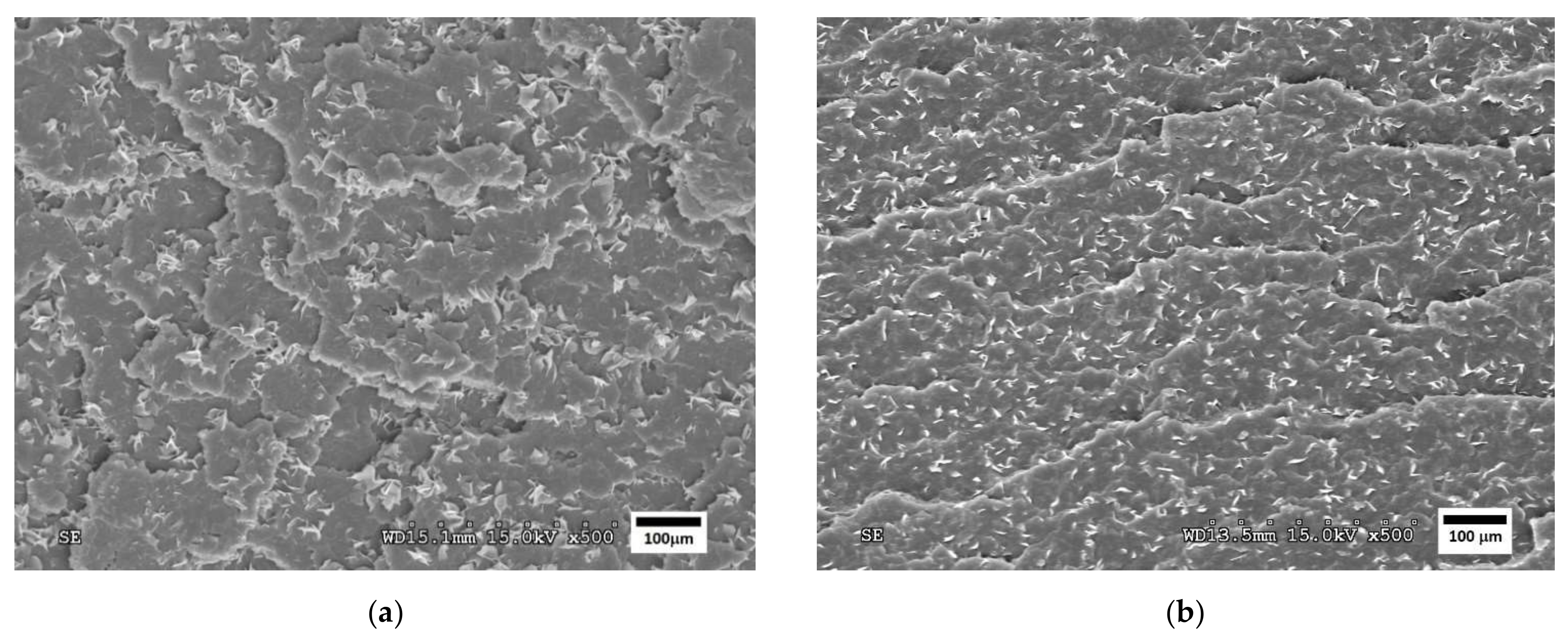 Polymers 14 05223 g005 Polymers 14 05223 g005