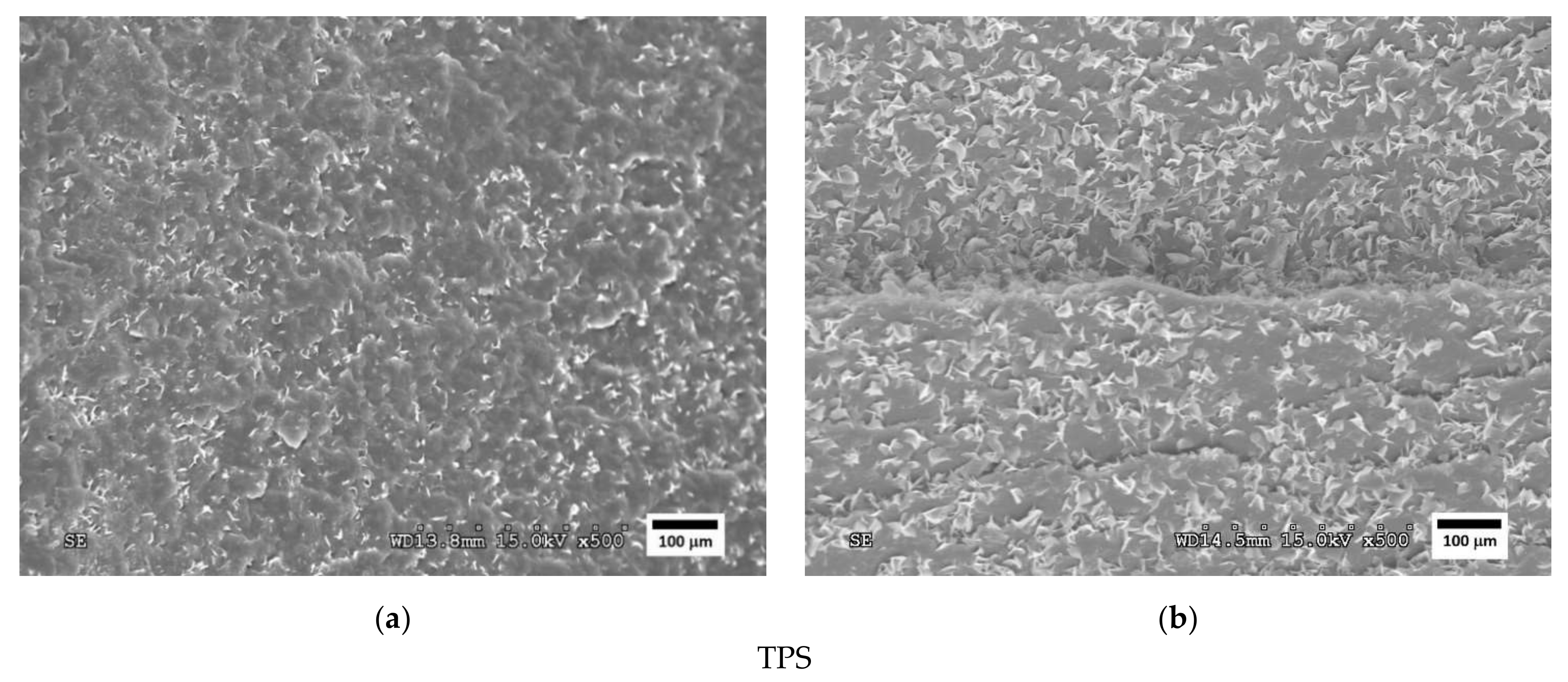 Polymers 14 05223 g006 Polymers 14 05223 g006