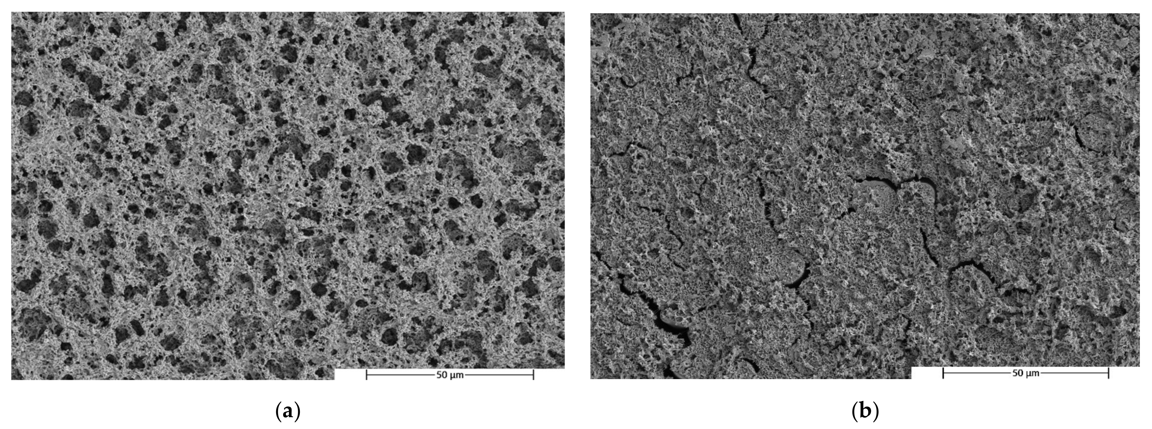Polymers 14 05223 g007 Polymers 14 05223 g007