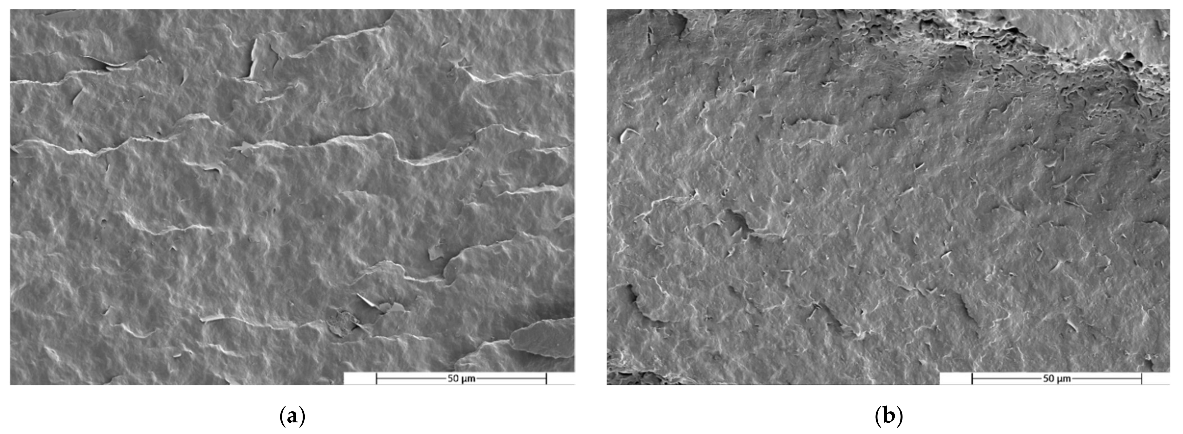Polymers 14 05223 g008 Polymers 14 05223 g008