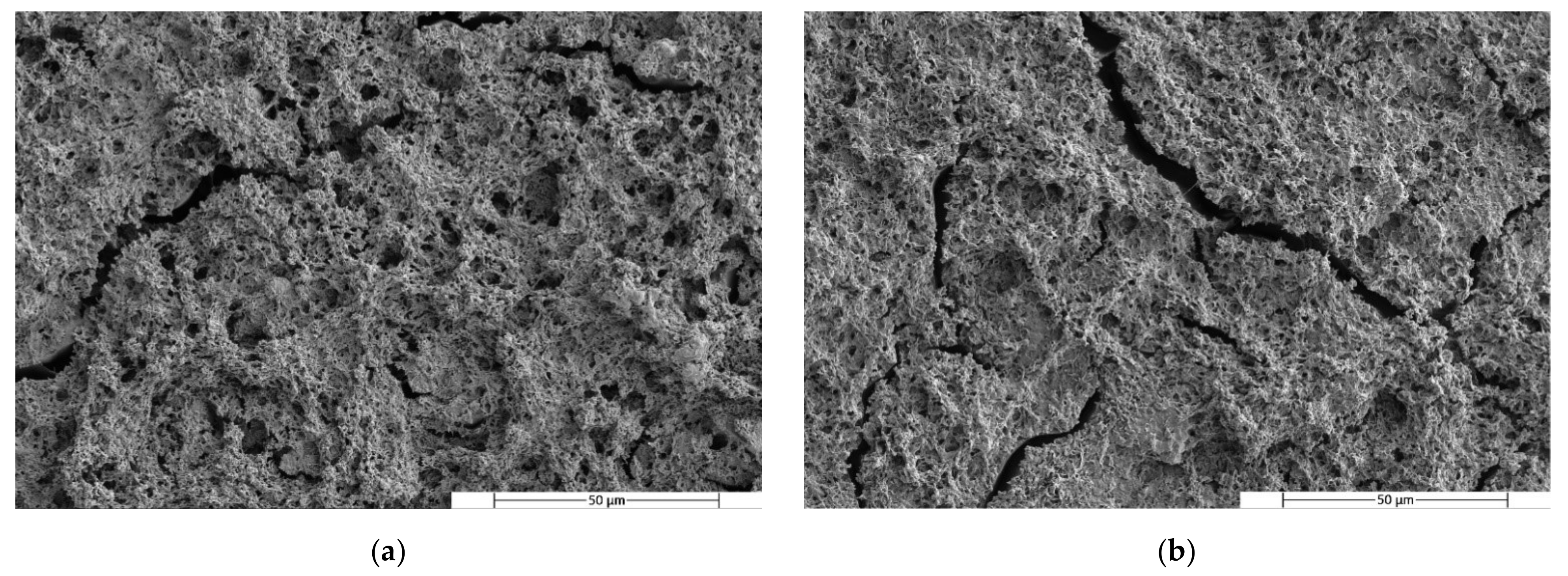 Polymers 14 05223 g009 Polymers 14 05223 g009