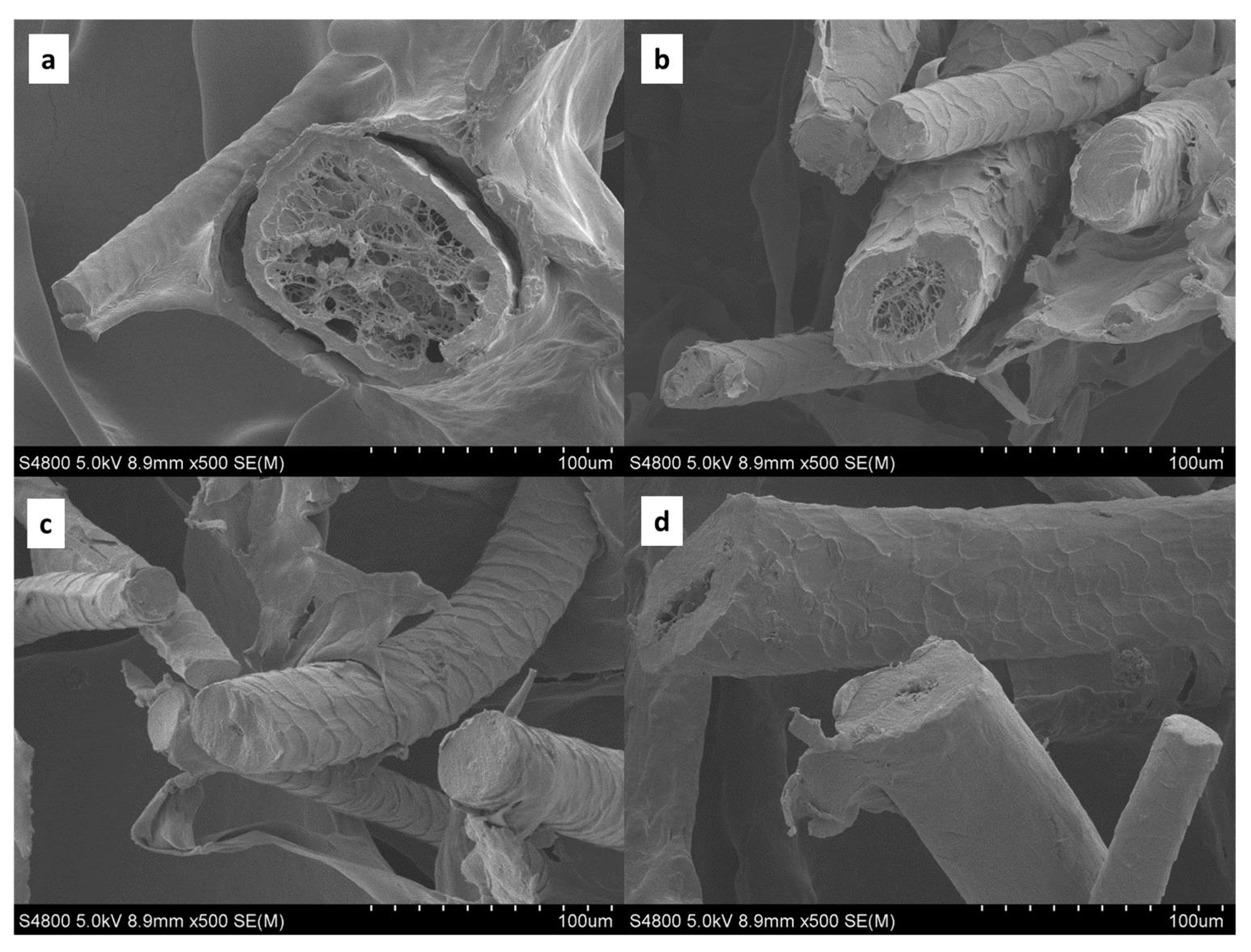 Polymers 14 05231 g004