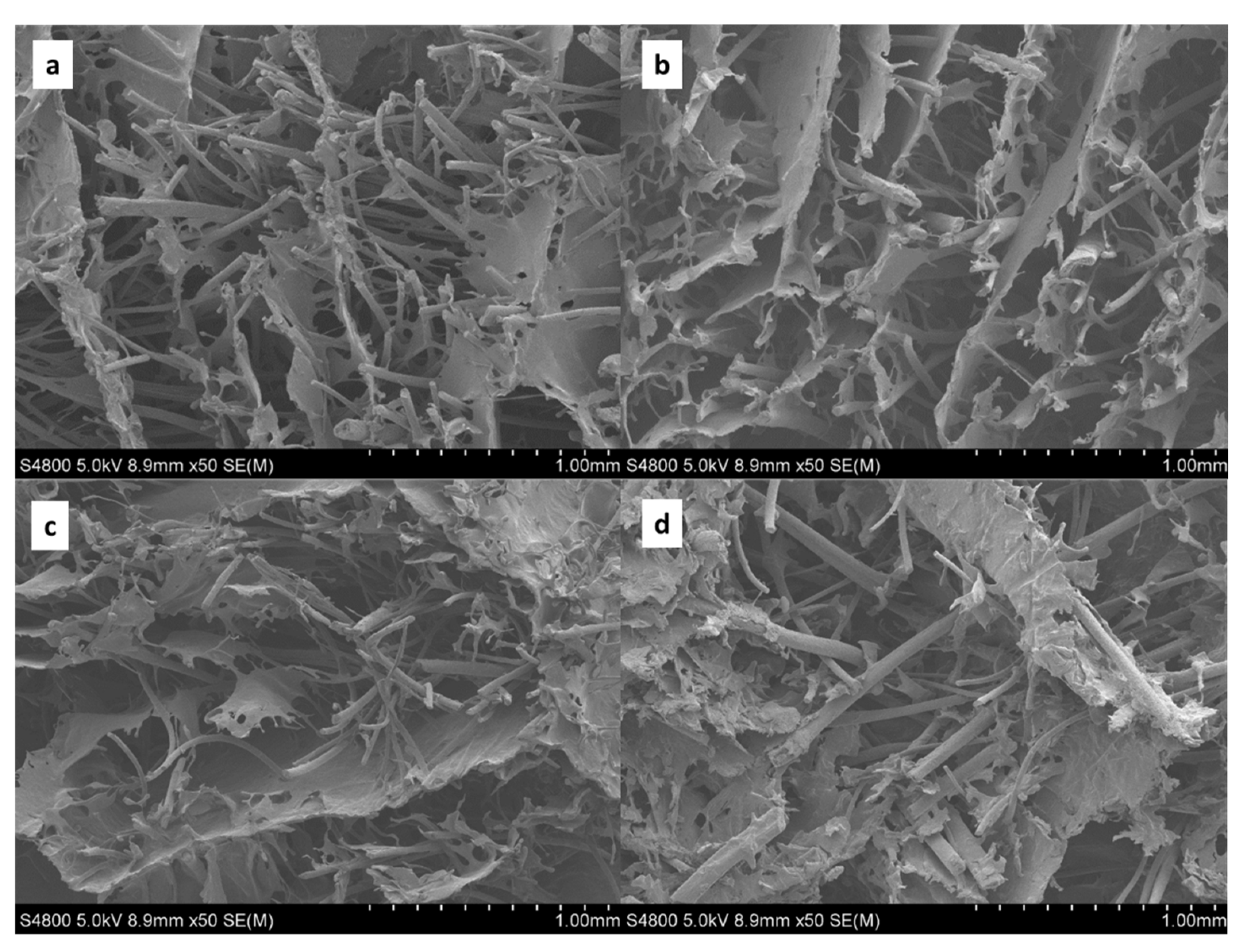 Polymers 14 05231 g005