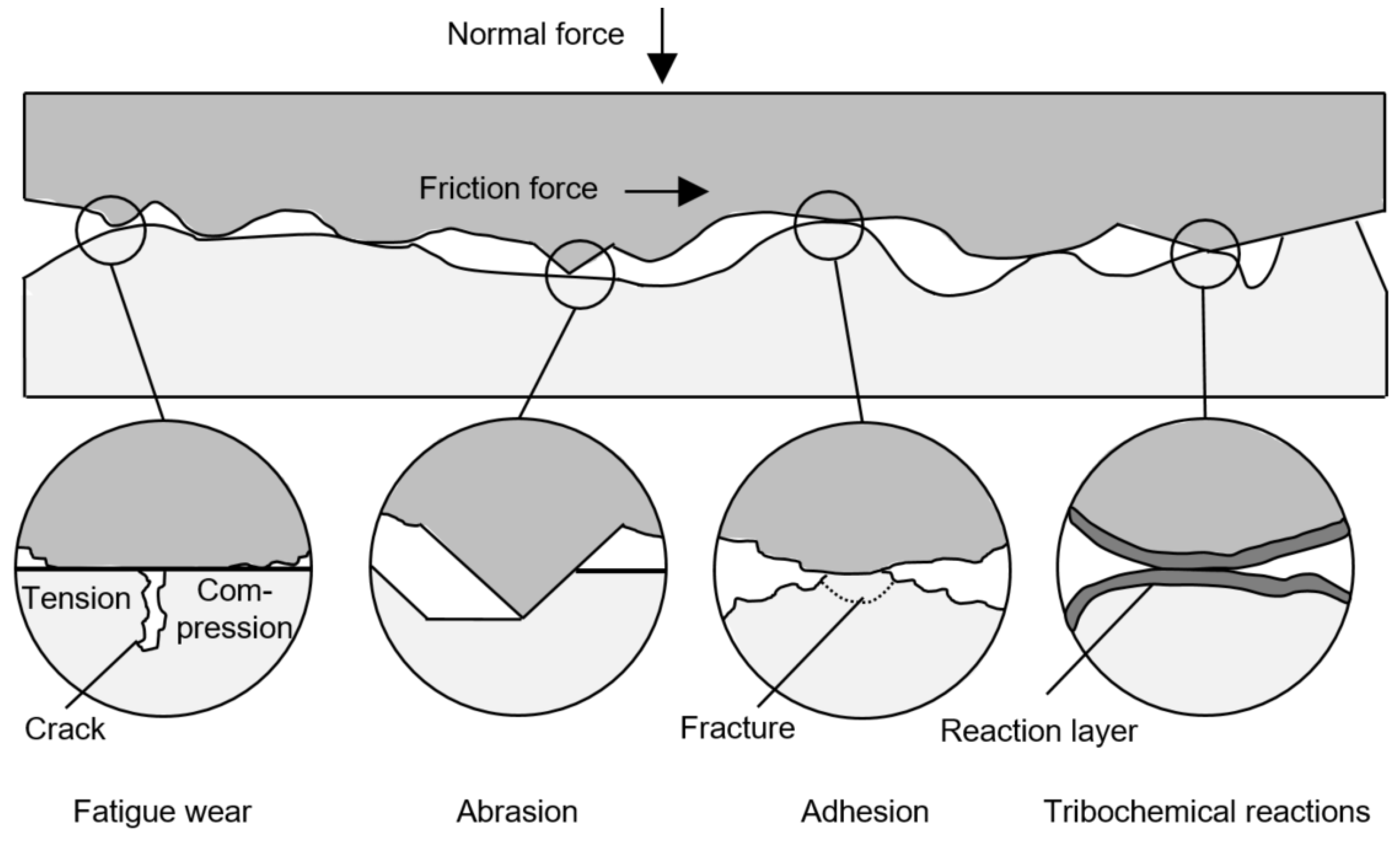 Polymers 14 05239 g001