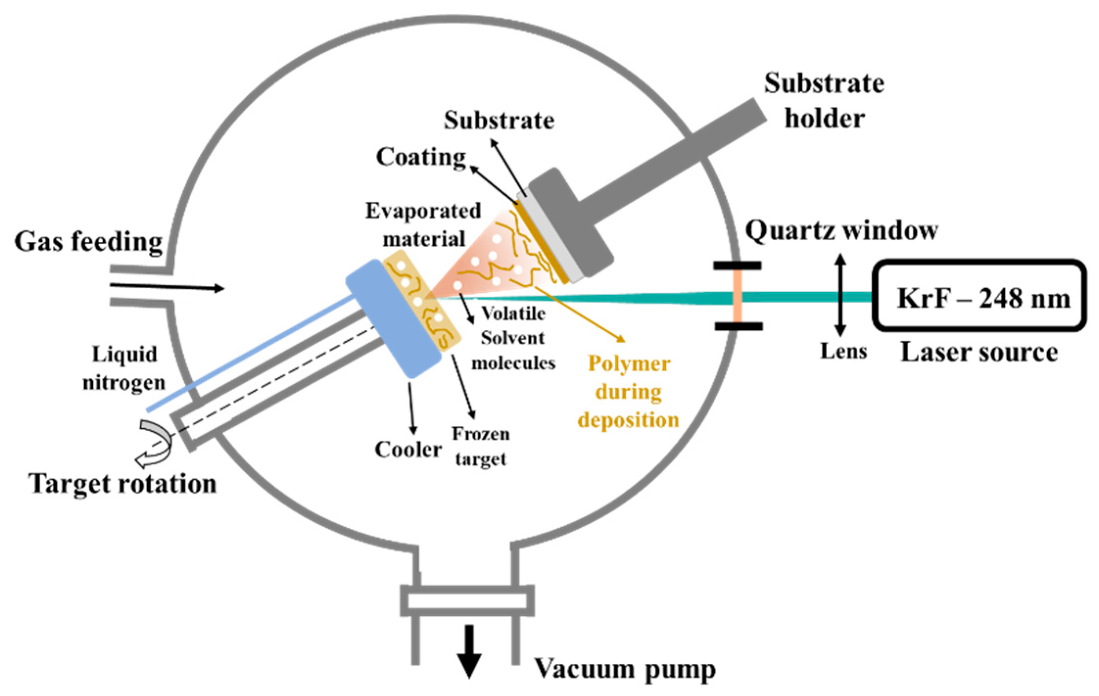 Polymers 14 05241 g002