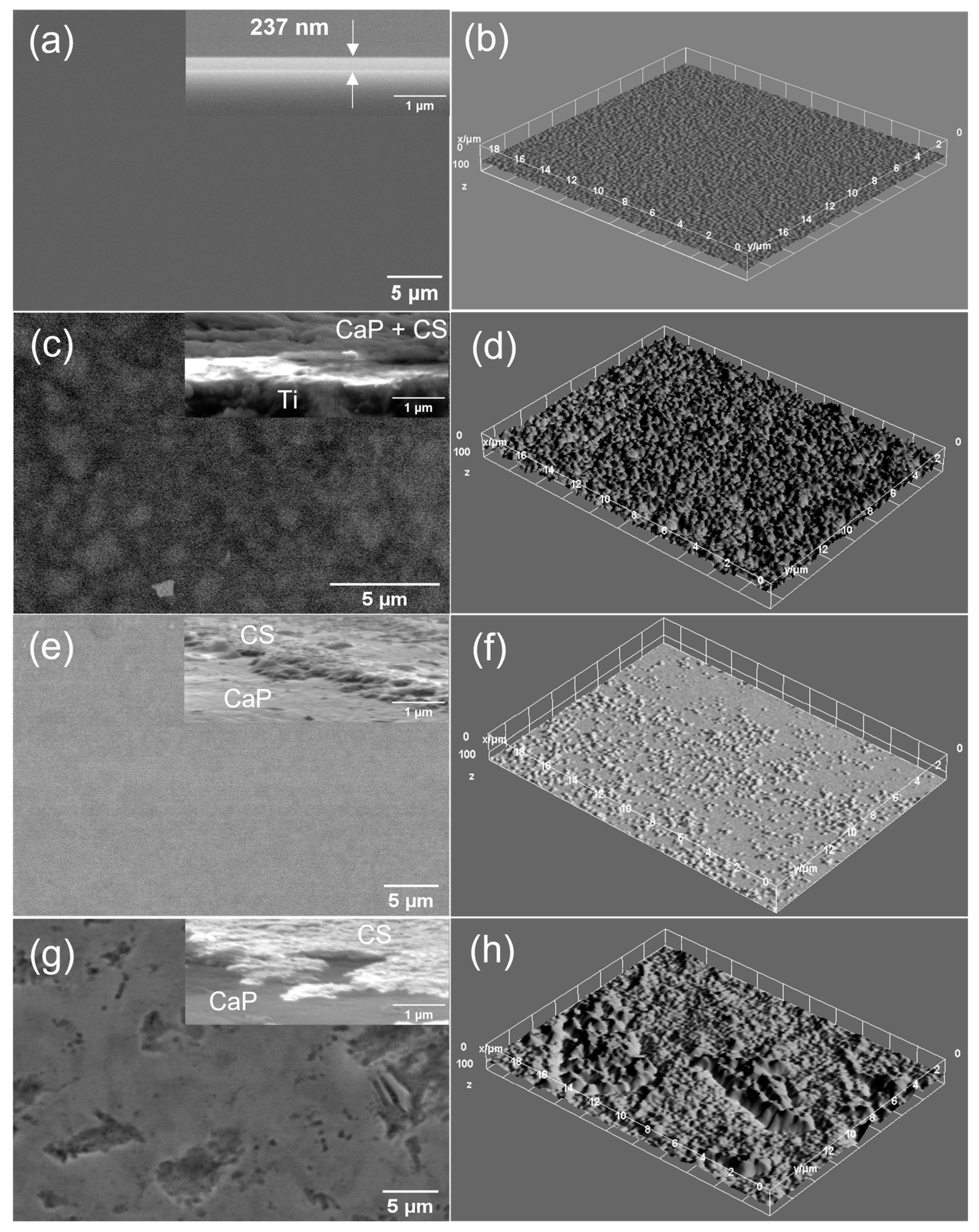 Polymers 14 05241 g015