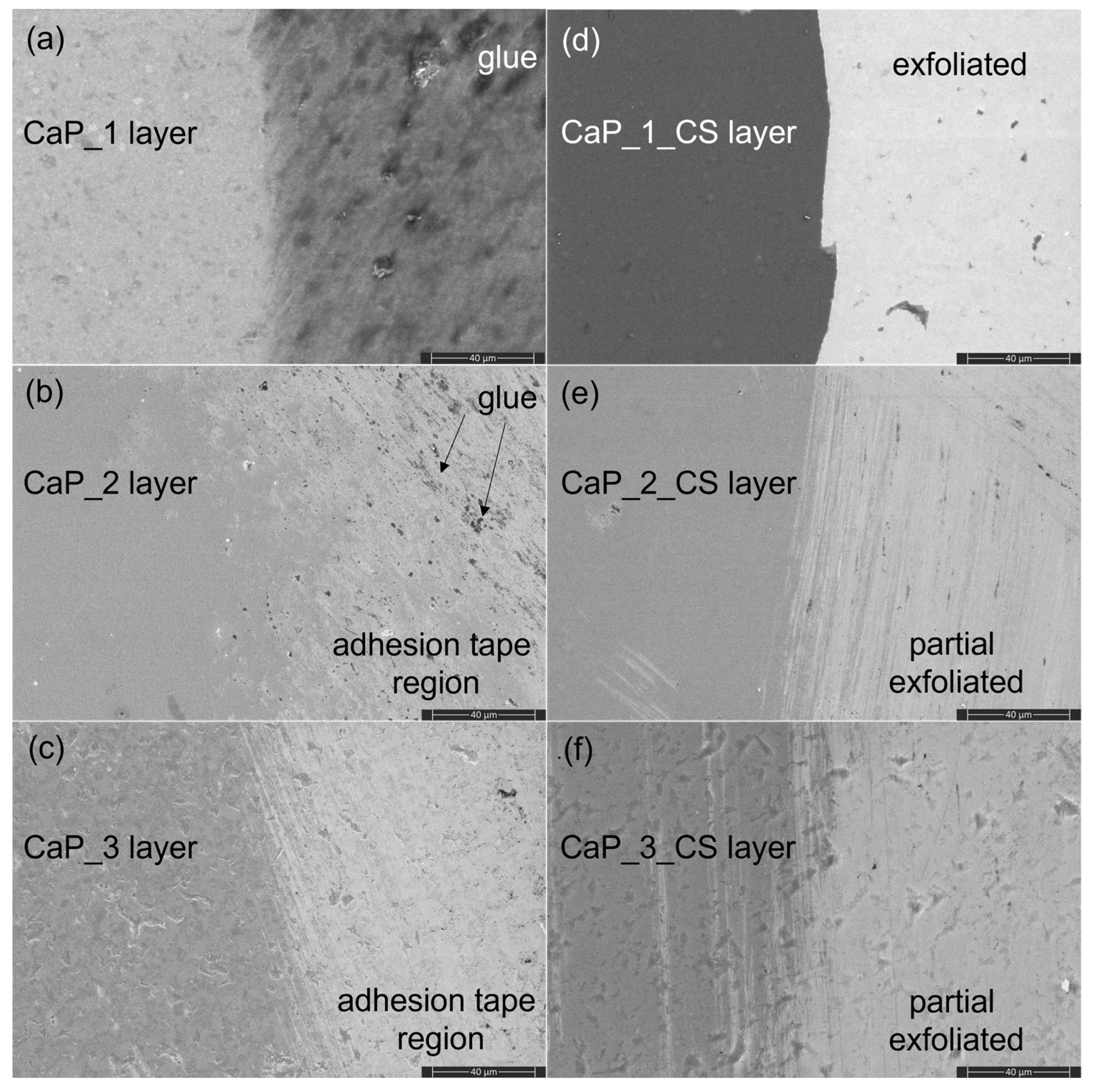 Polymers 14 05241 g018