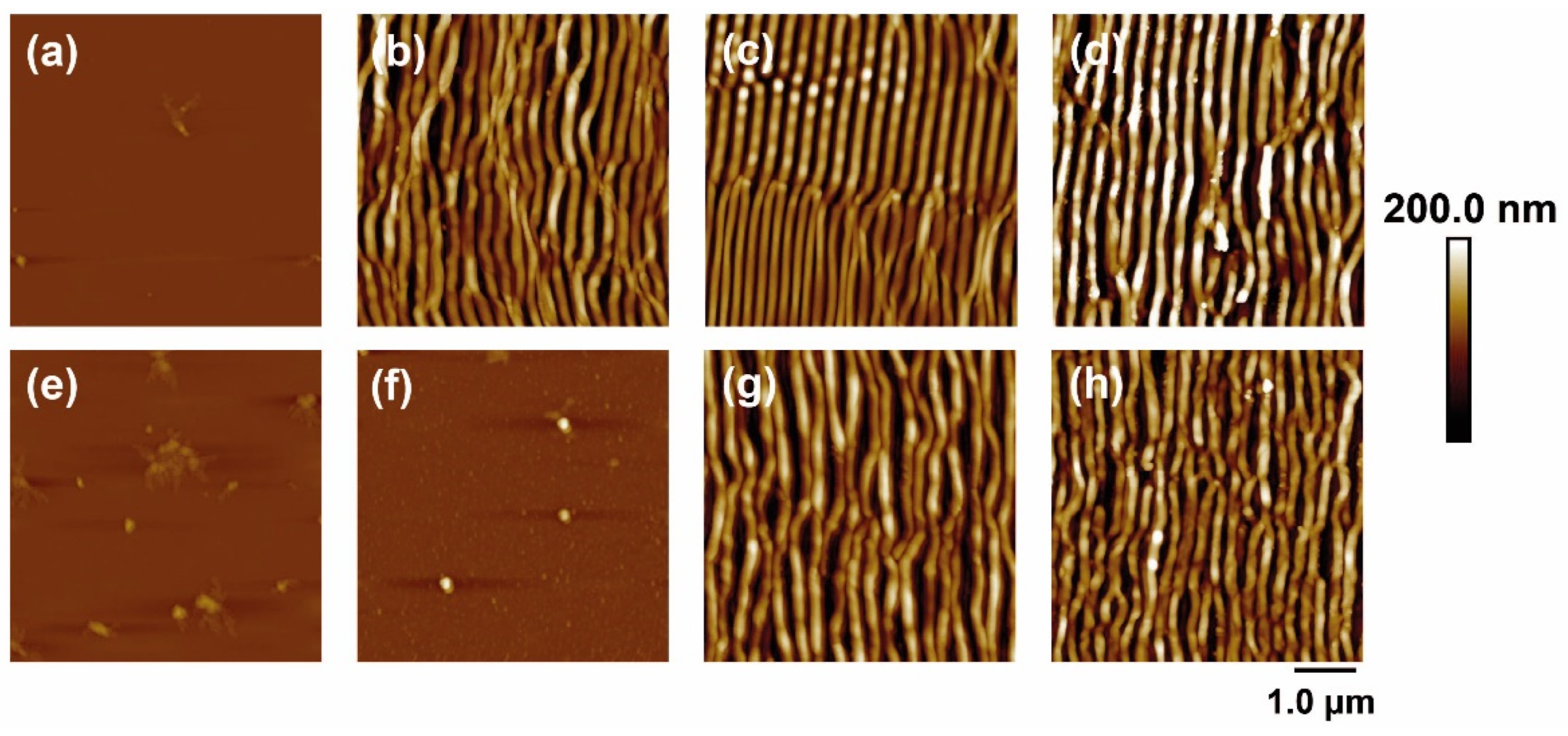 Polymers 14 05243 g001