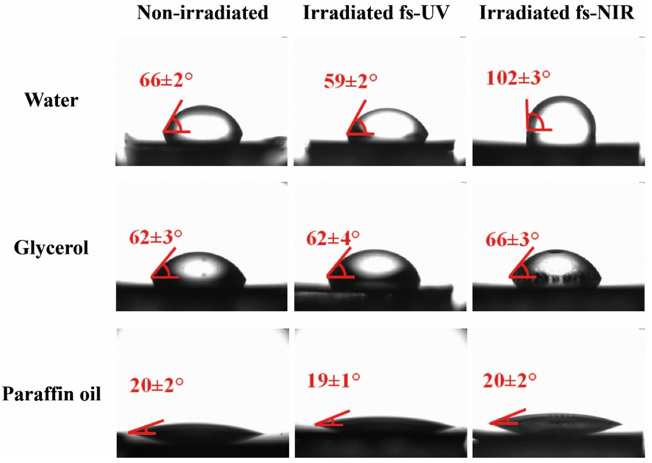 Polymers 14 05243 g005