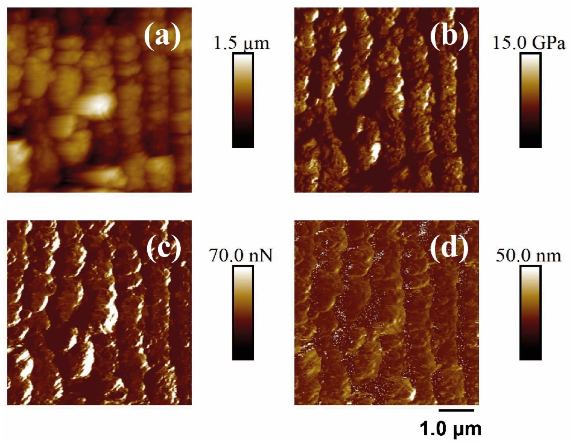 Polymers 14 05243 g009