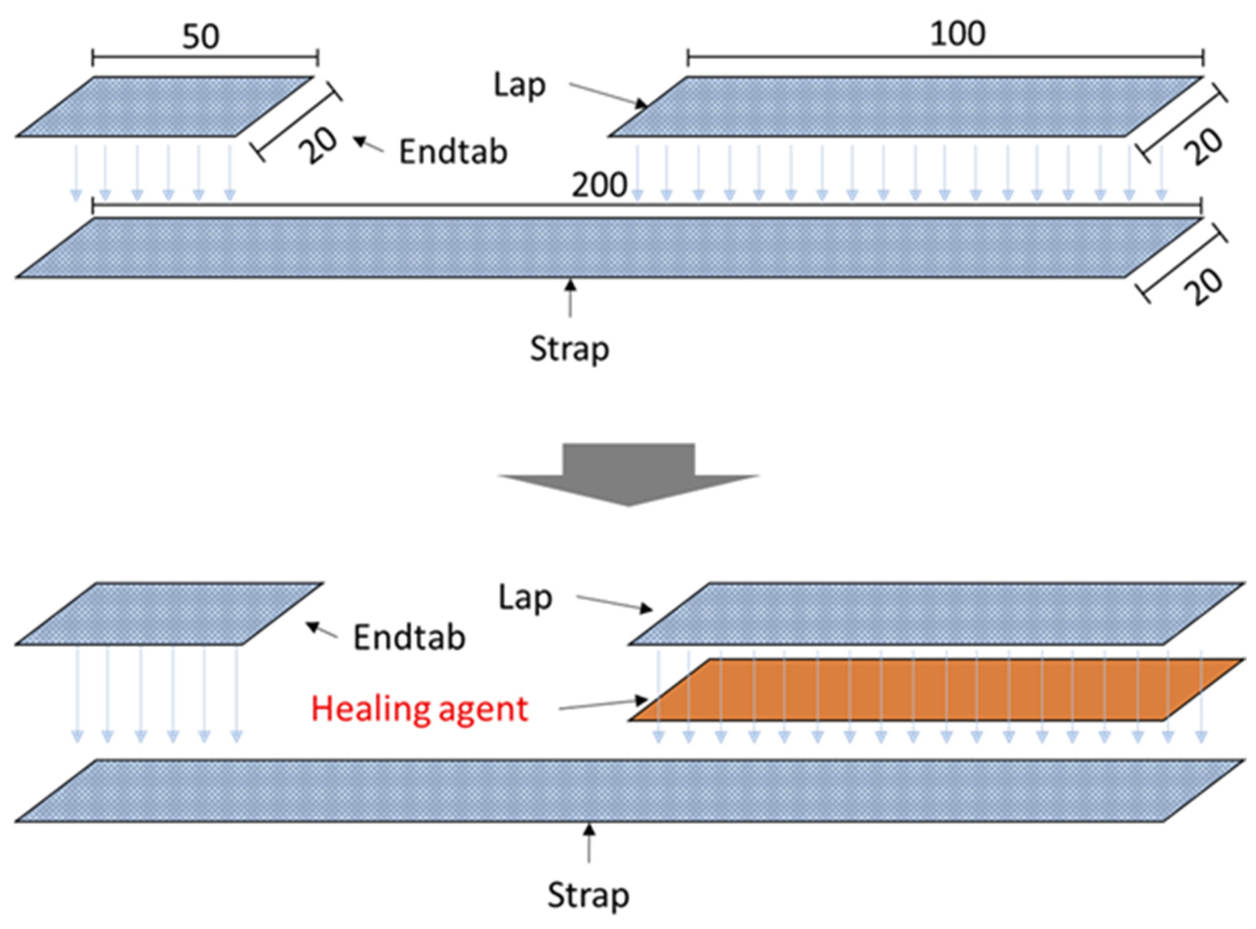 Polymers 14 05264 g002