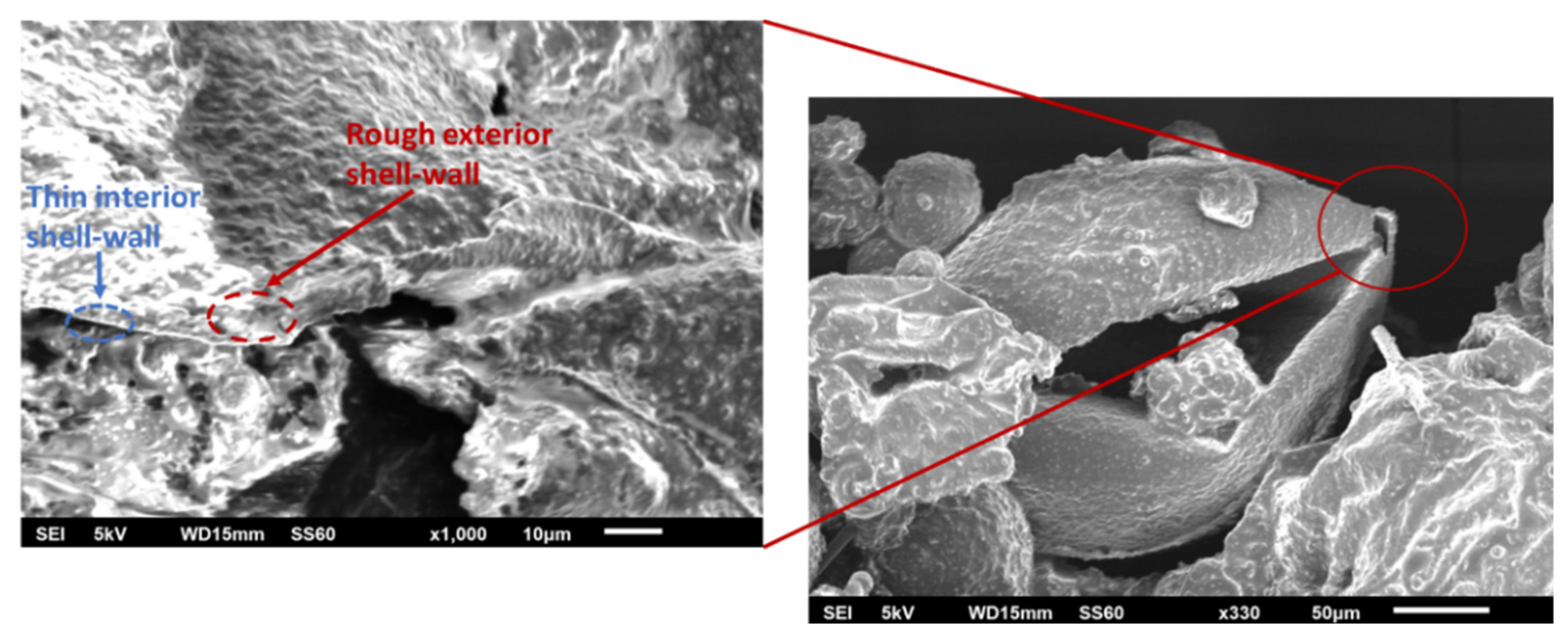 Polymers 14 05264 g004
