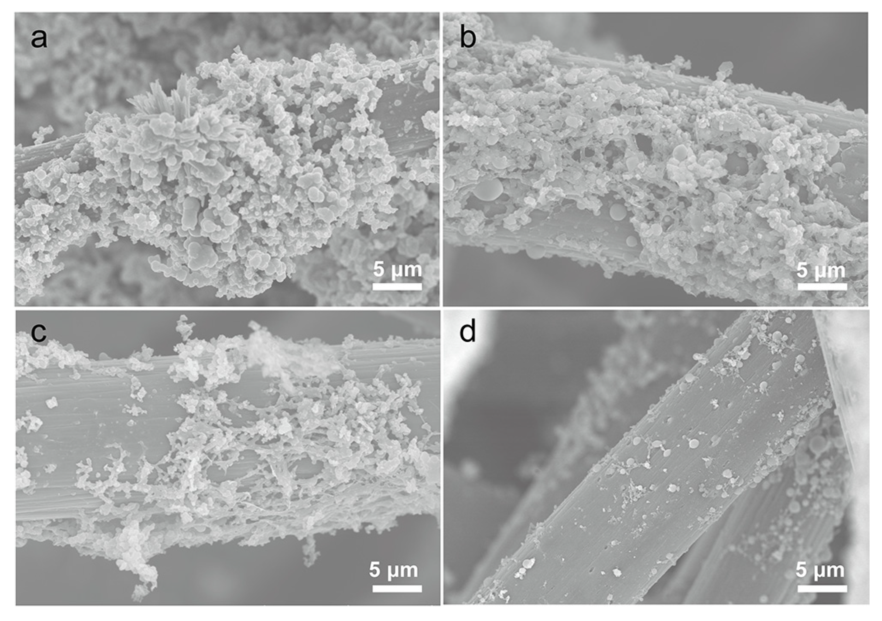 Polymers 14 05269 g002