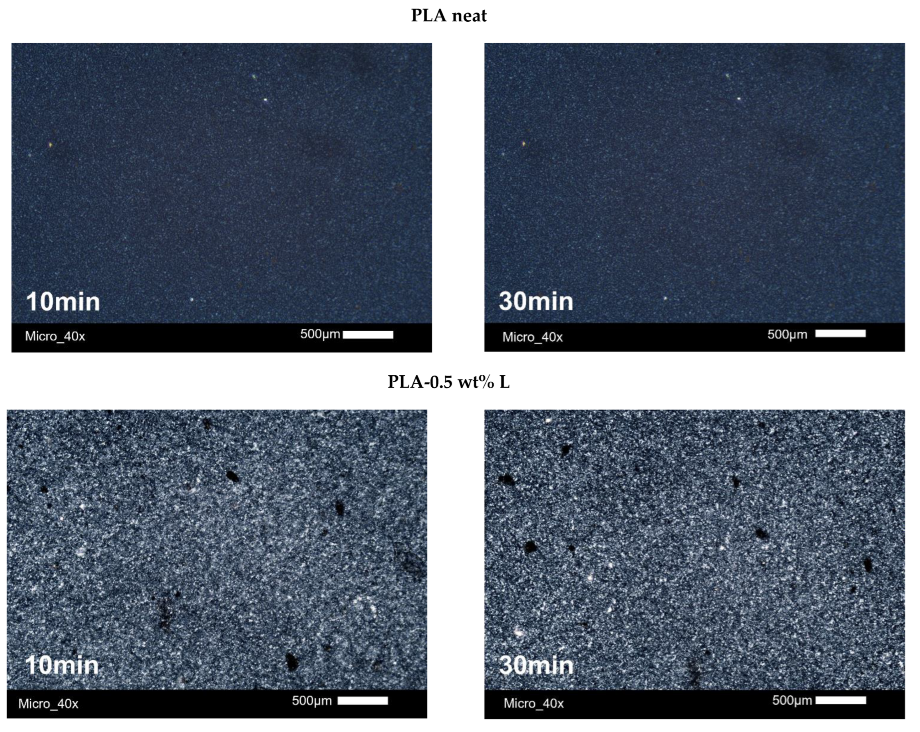 Polymers 14 05274 g009a Polymers 14 05274 g009a