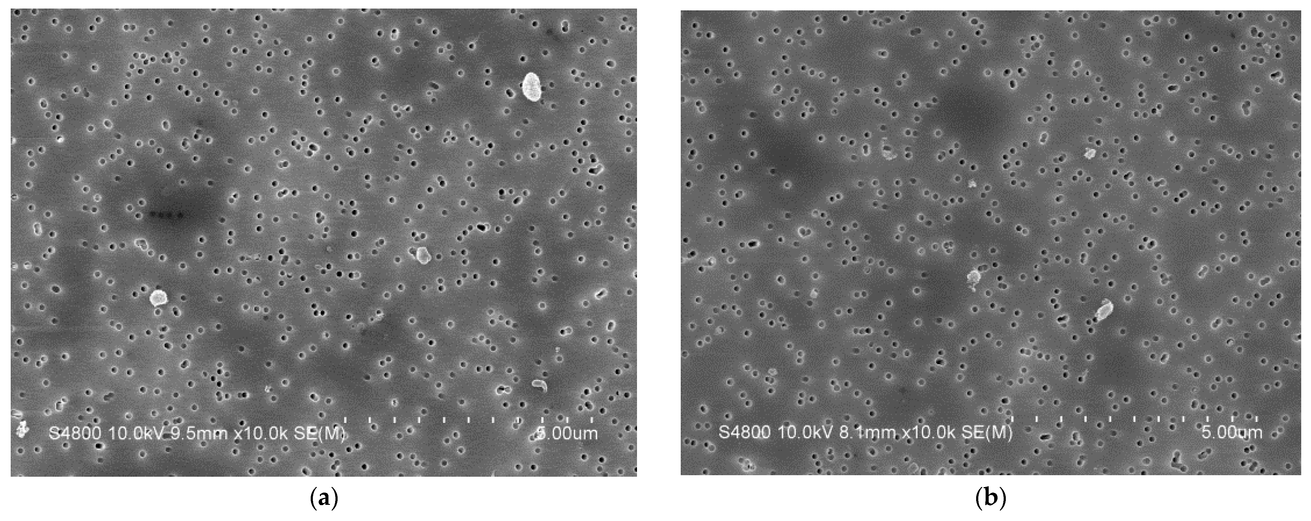 Polymers 14 05281 g003