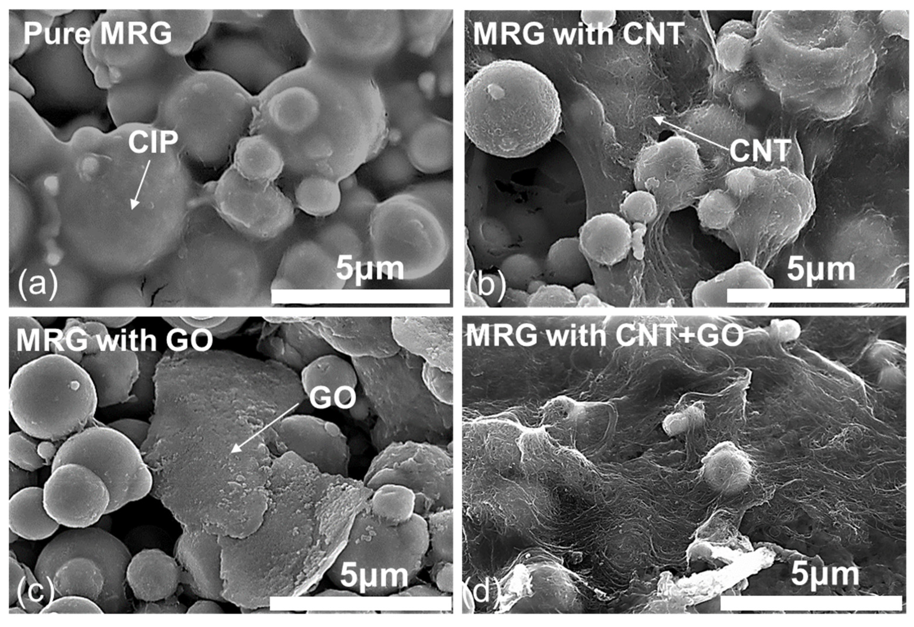 Polymers 14 05286 g002
